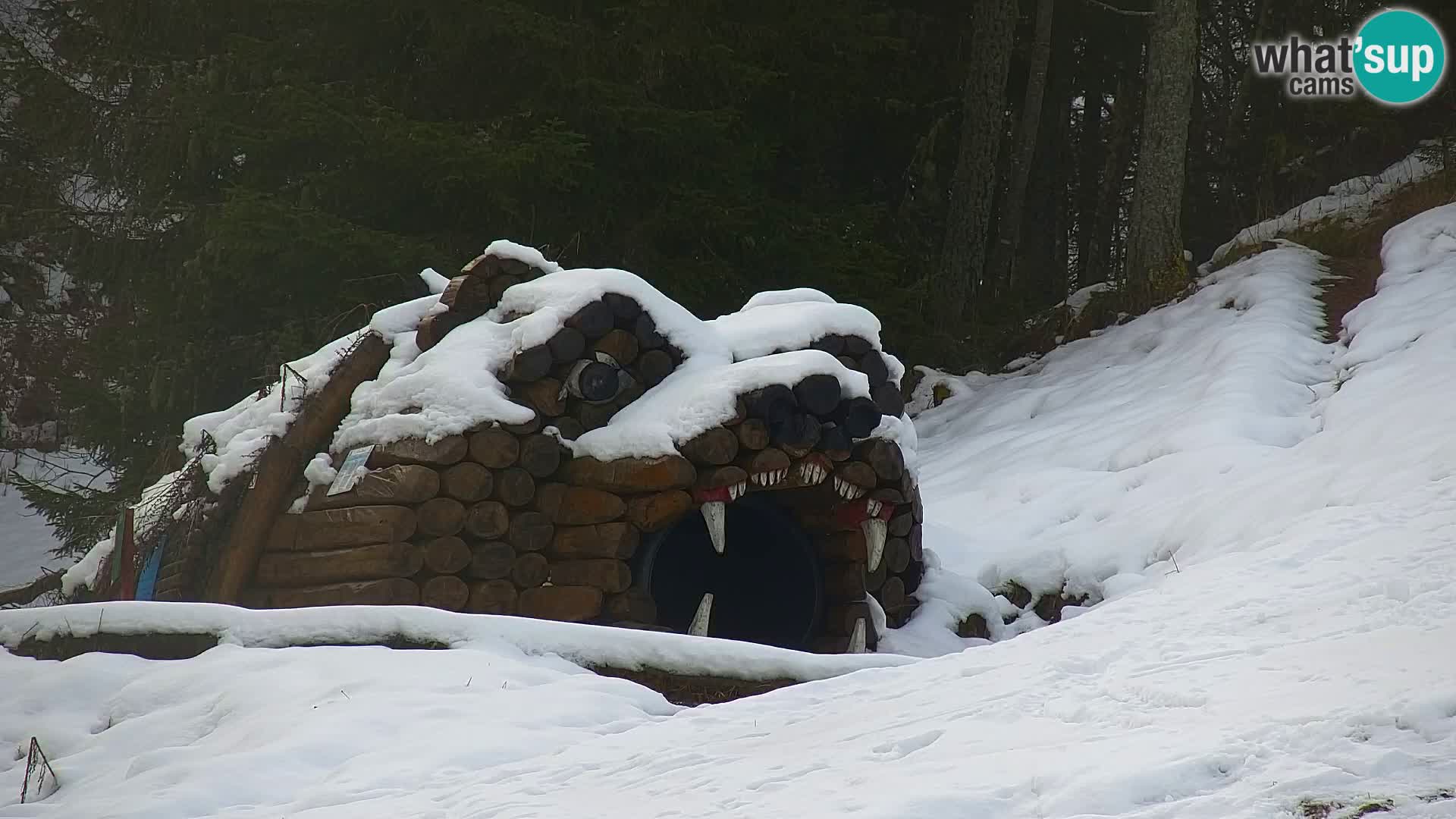 Estación de esquí Kranjska Gora | Estación superior VITRANC 1