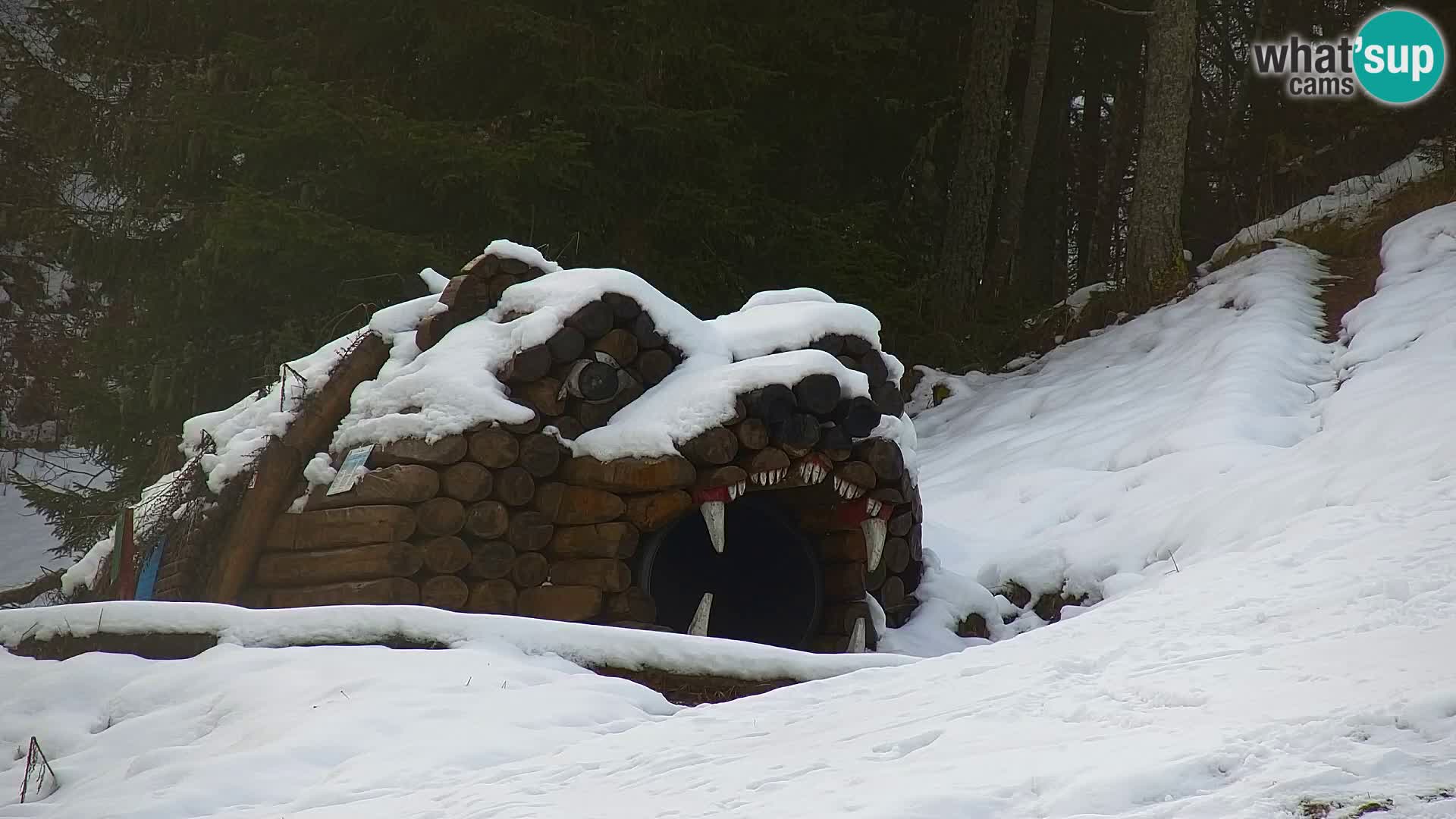 Kranjska Gora kamera VITRANC 1 | Zgornja postaja
