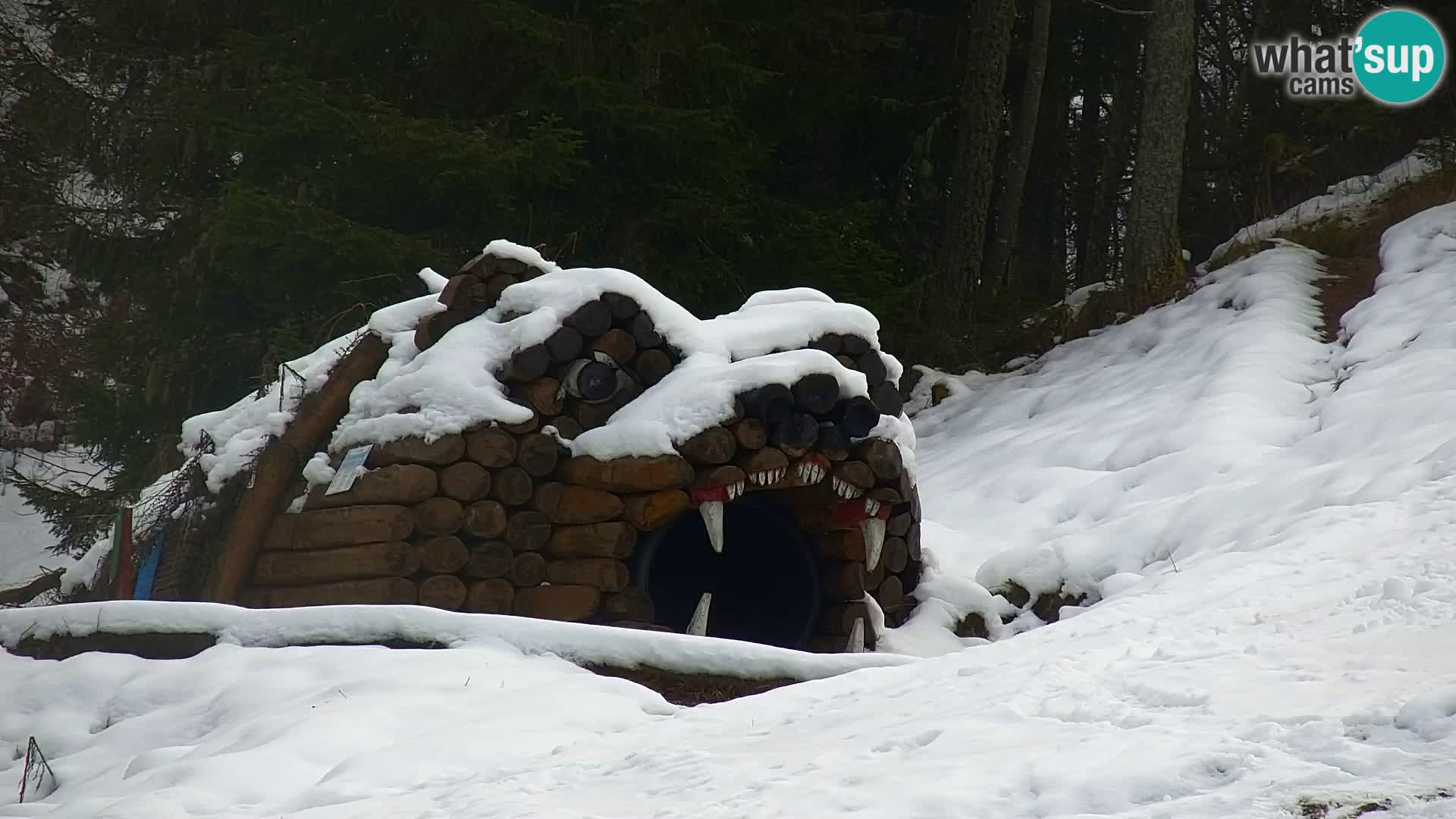 Kranjska Gora web kamera Vitranc | VITRANC 1 gornja postaja