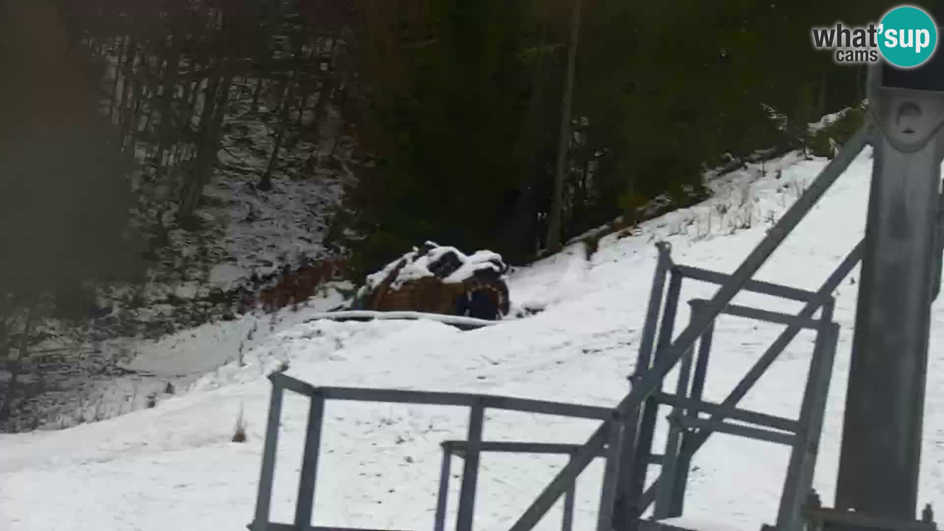 Vitranc Kranjska Gora webcam | VITRANC 1 stazione superiore