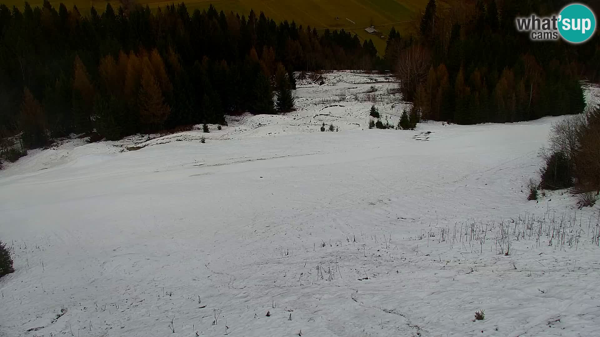 Kranjska Gora livecam VITRANC 1 | estación superior