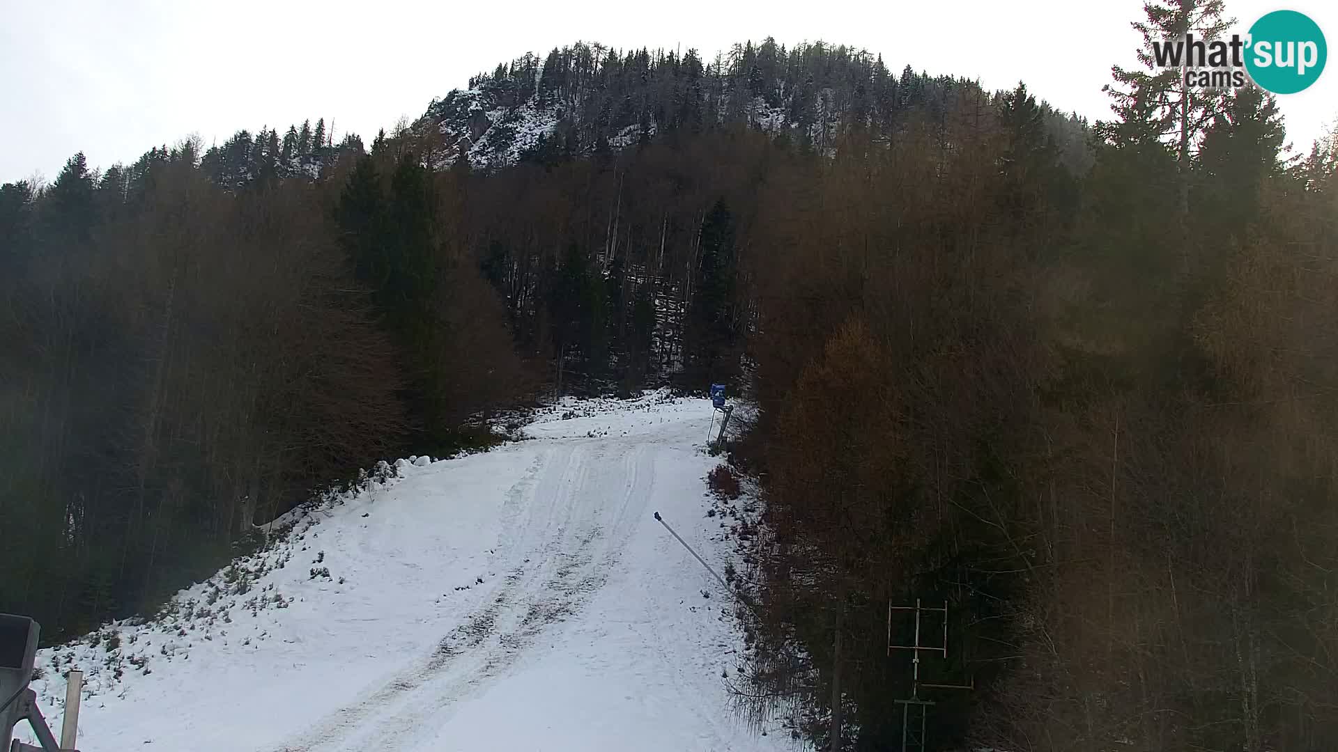 Vitranc Kranjska Gora webcam | VITRANC 1 stazione superiore