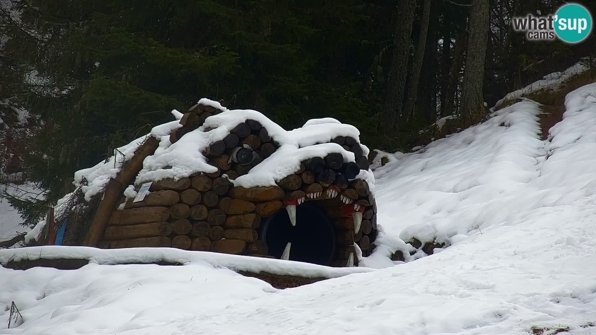 Ski Resort Kranjska Gora | VITRANC 1 upper station