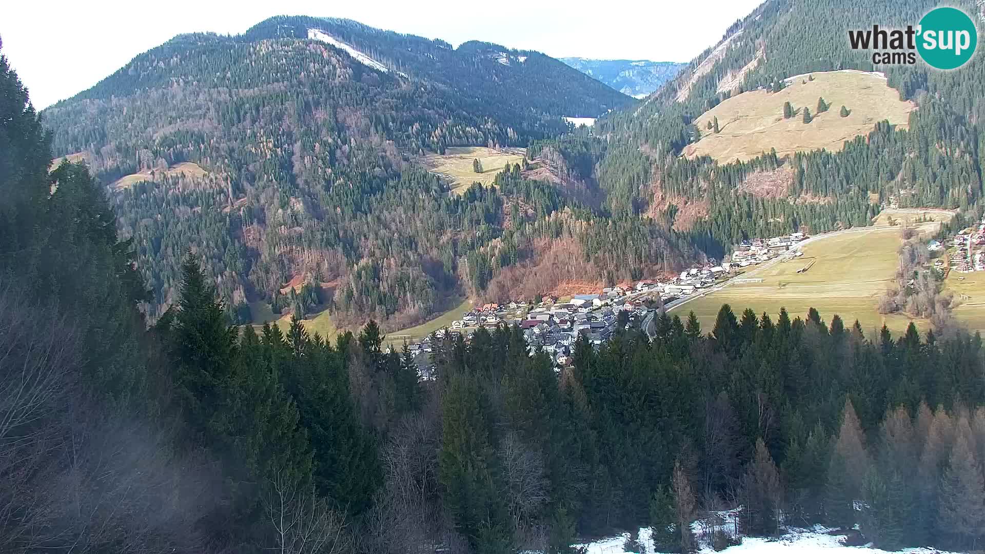 Vitranc Kranjska Gora webcam | VITRANC 1 stazione superiore