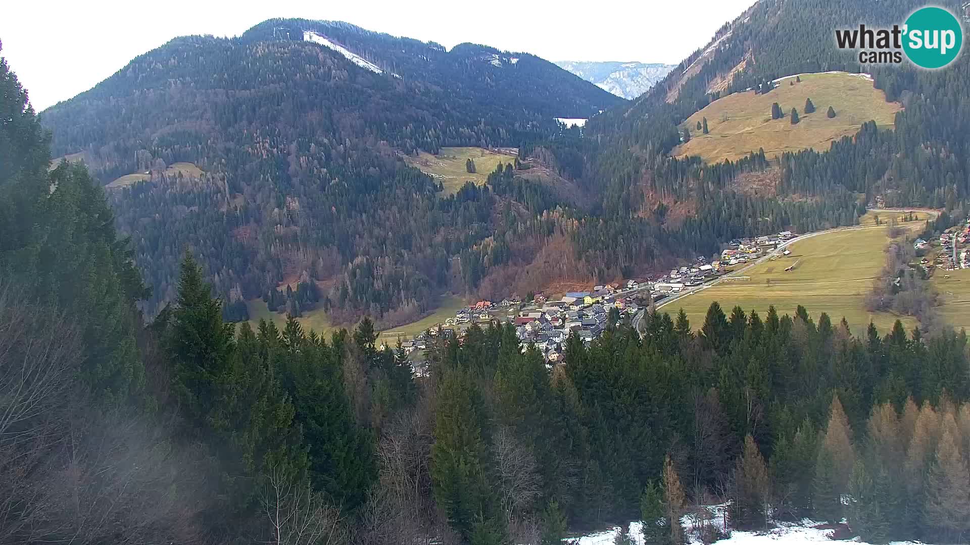 Vitranc Kranjska Gora webcam | VITRANC 1 stazione superiore