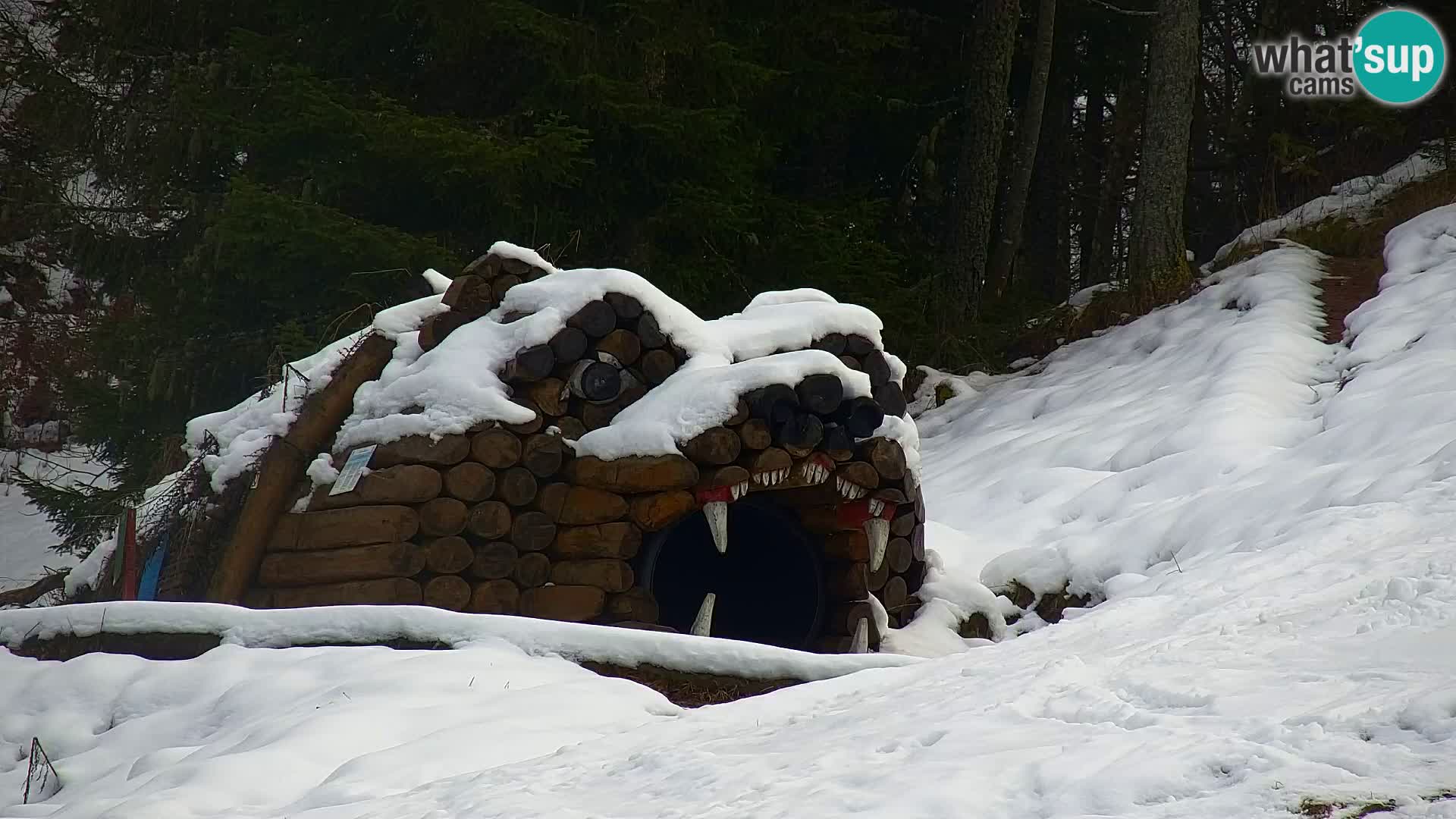 Kranjska Gora web kamera Vitranc | VITRANC 1 gornja postaja