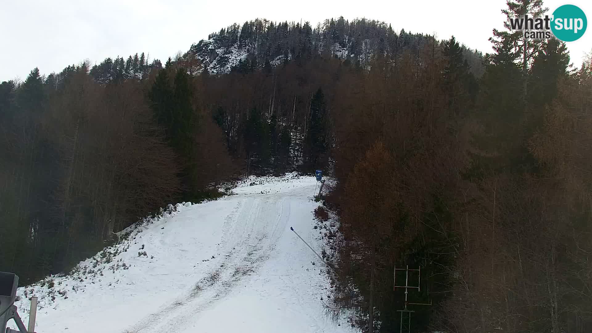 Kranjska Gora livecam VITRANC 1 | estación superior