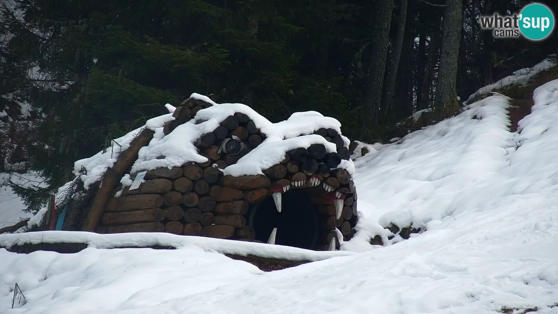Vitranc Kranjska Gora webcam | VITRANC 1 stazione superiore