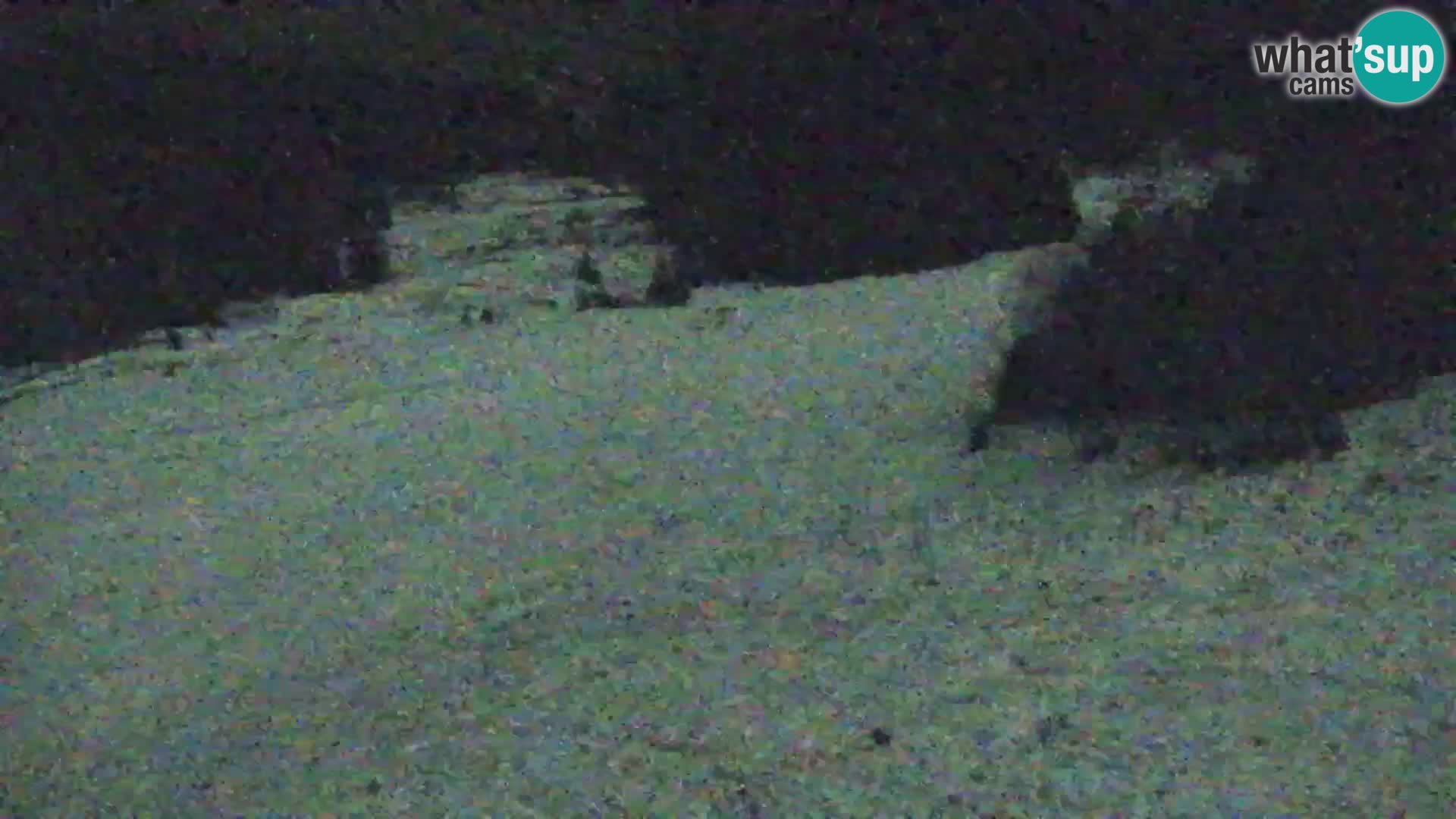 Kranjska Gora web kamera Vitranc | VITRANC 1 gornja postaja