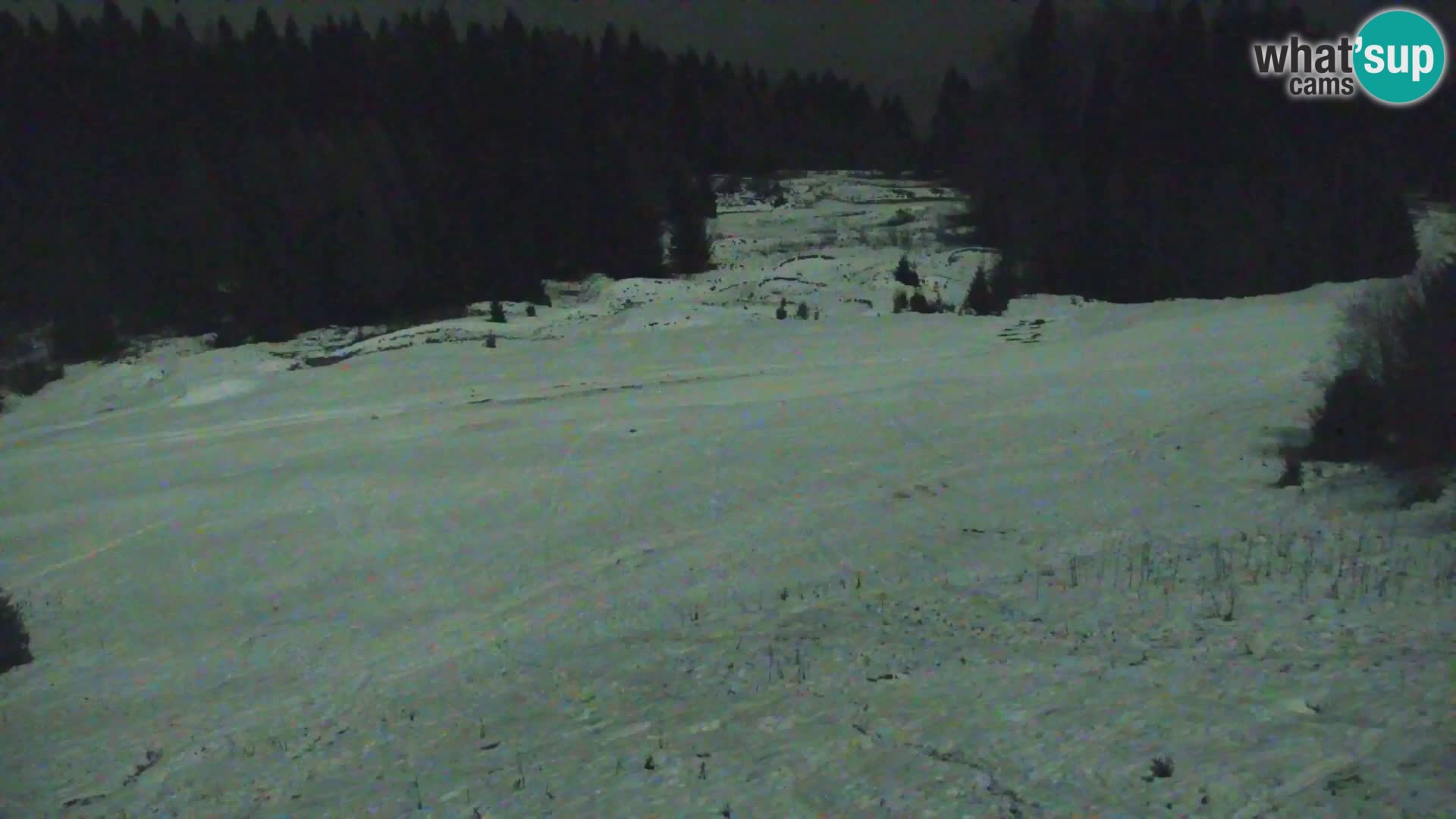 Kranjska Gora web kamera Vitranc | VITRANC 1 gornja postaja