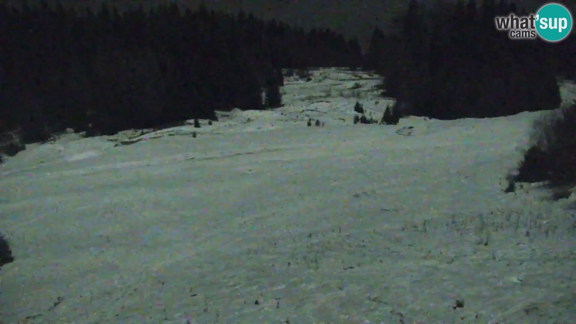 Kranjska Gora livecam VITRANC 1 | estación superior