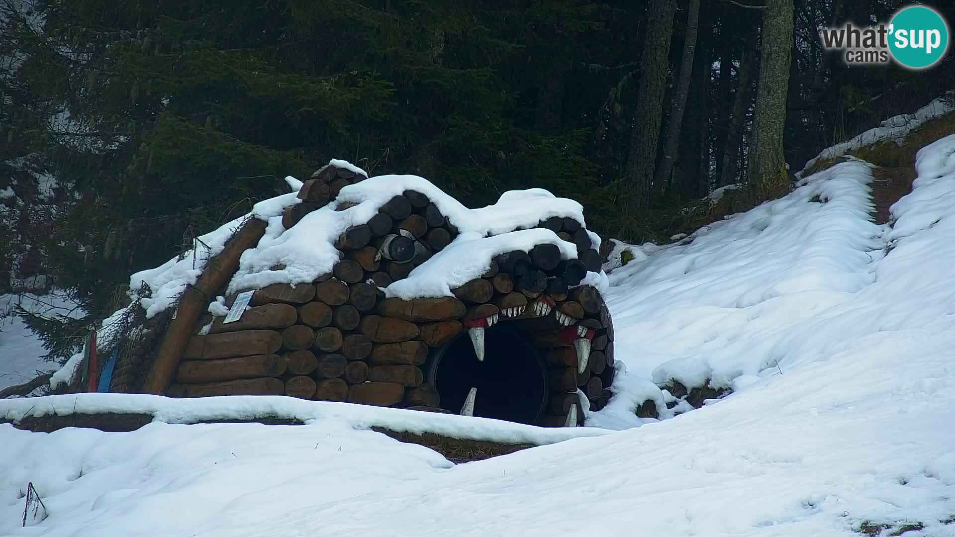 Kranjska Gora webcam VITRANC 1 | obere Station