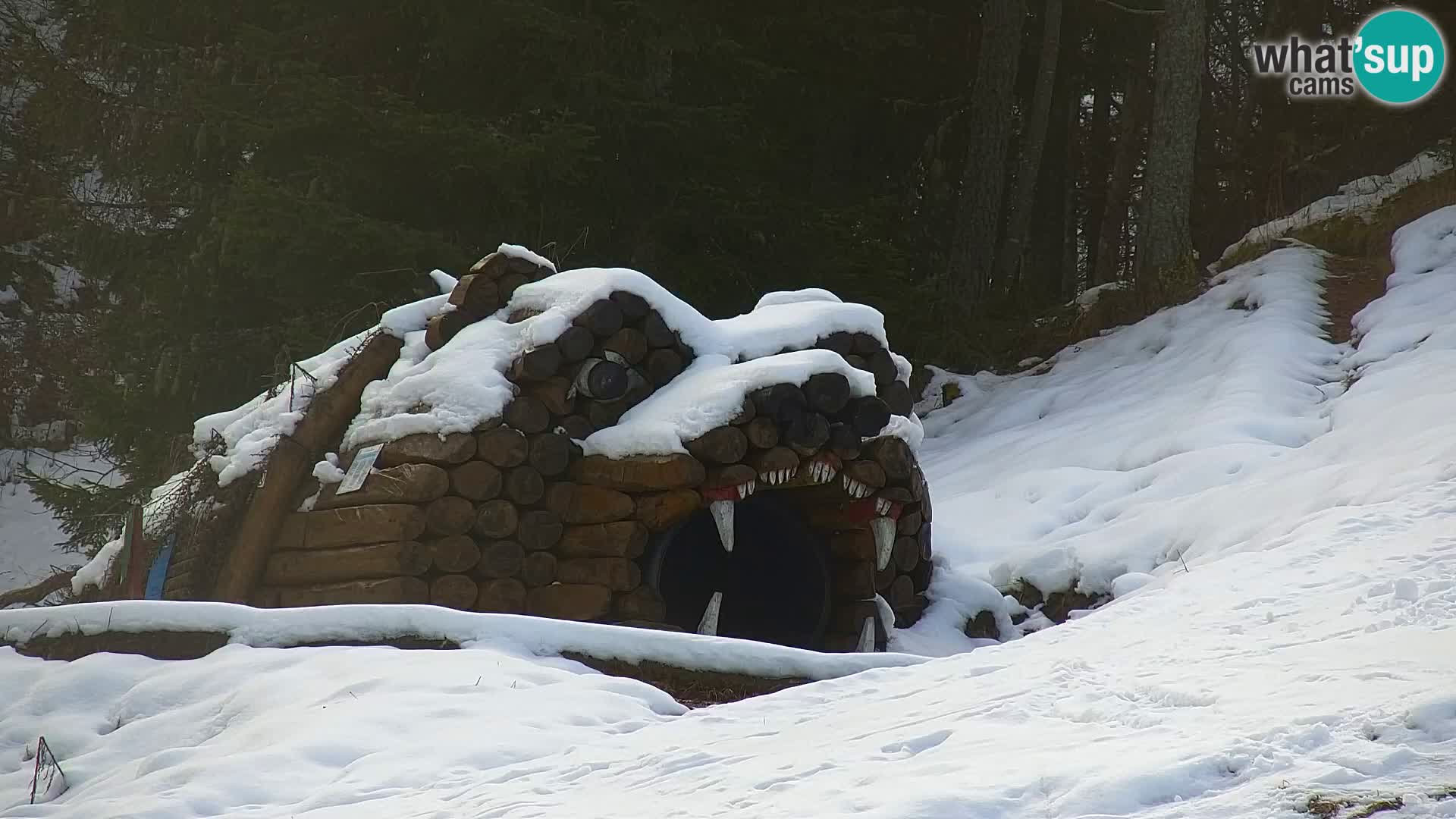 Estación de esquí Kranjska Gora | Estación superior VITRANC 1
