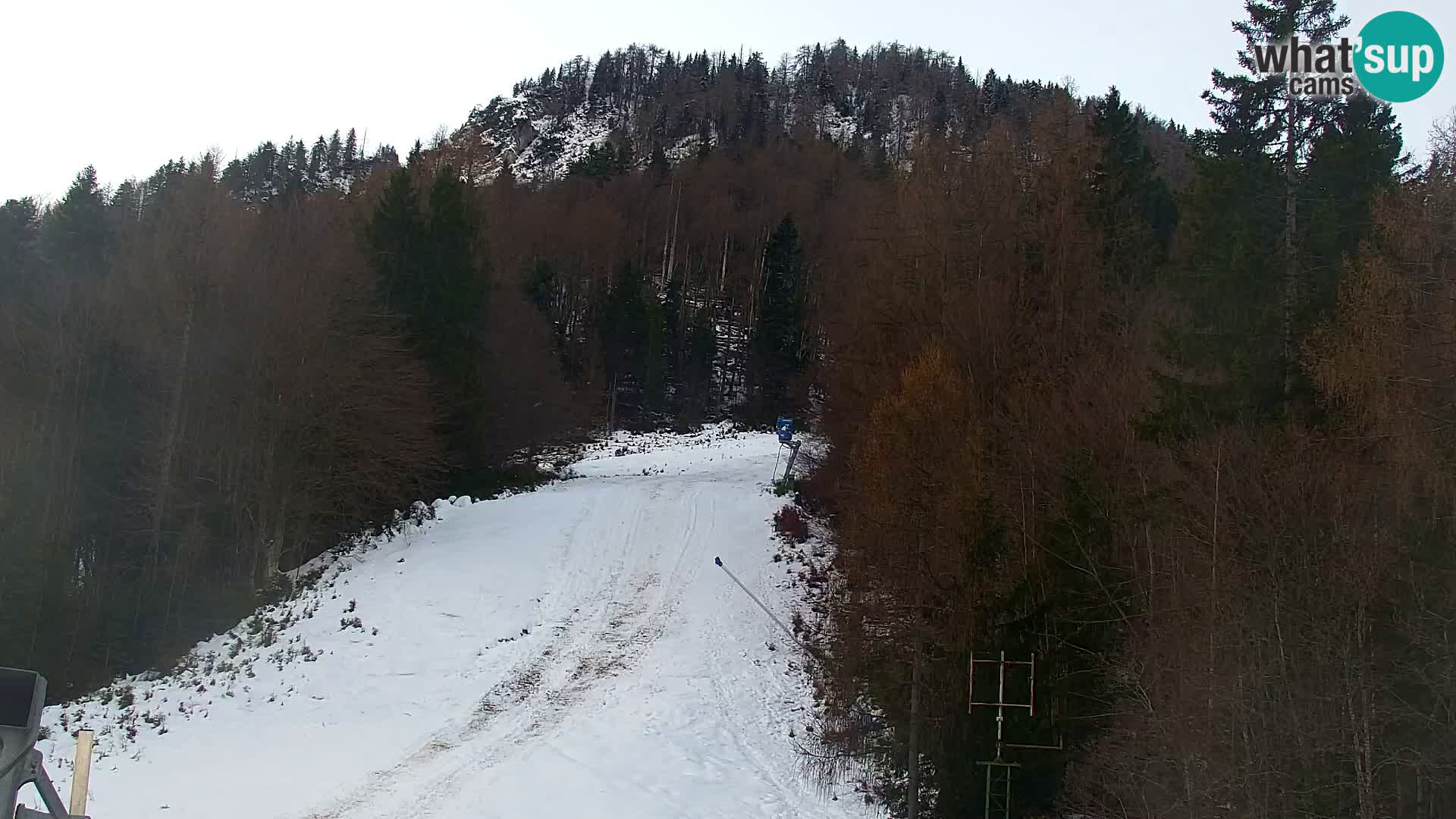 Vitranc Kranjska Gora webcam | VITRANC 1 stazione superiore