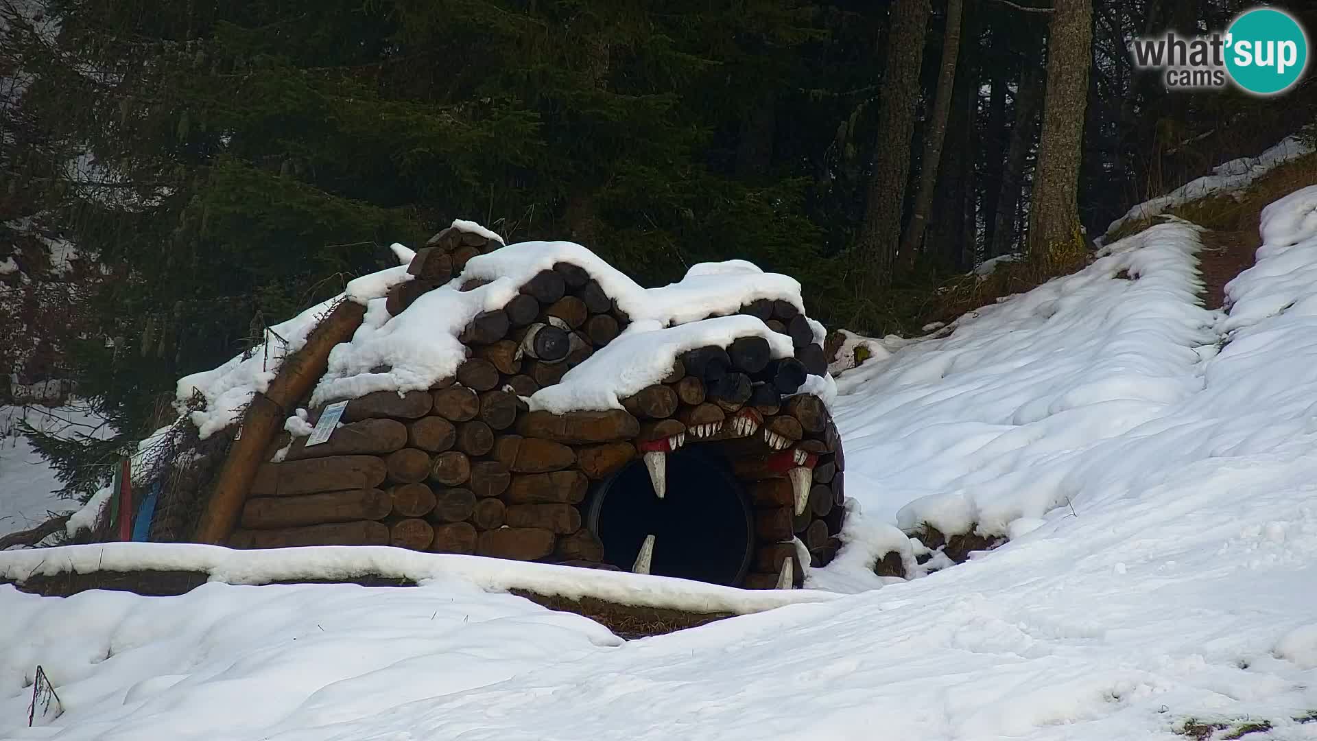 Kranjska Gora kamera VITRANC 1 | Zgornja postaja