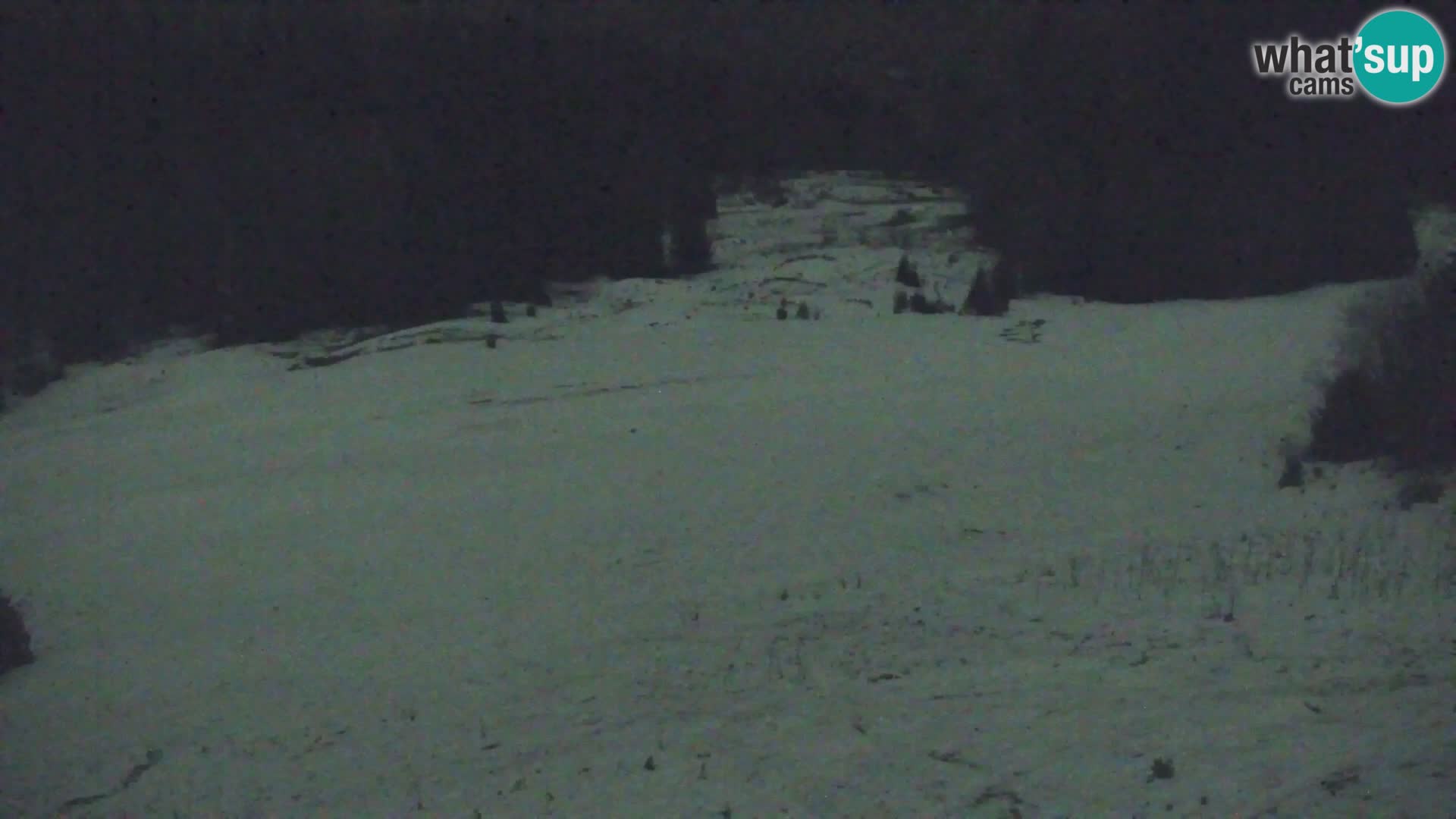 Vitranc Kranjska Gora webcam | VITRANC 1 stazione superiore