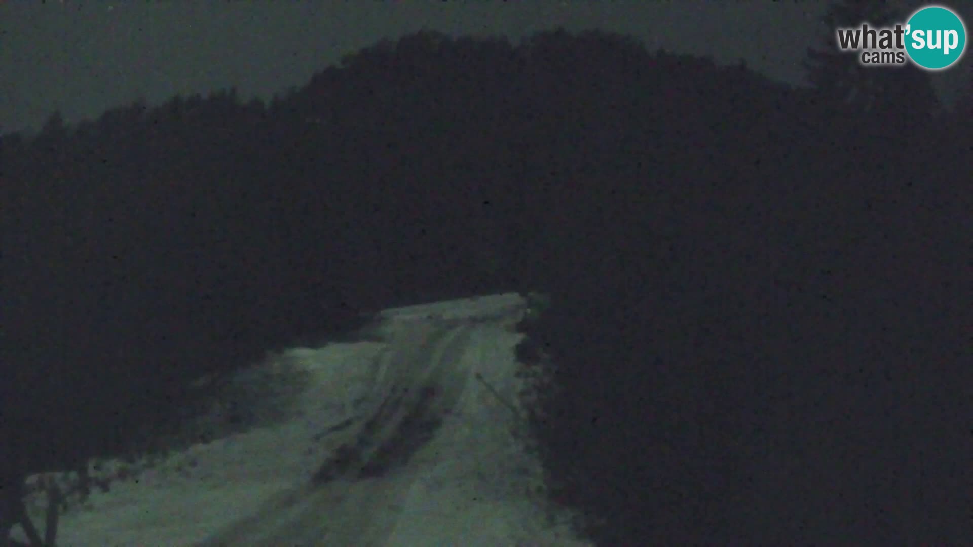 Vitranc Kranjska Gora webcam | VITRANC 1 stazione superiore