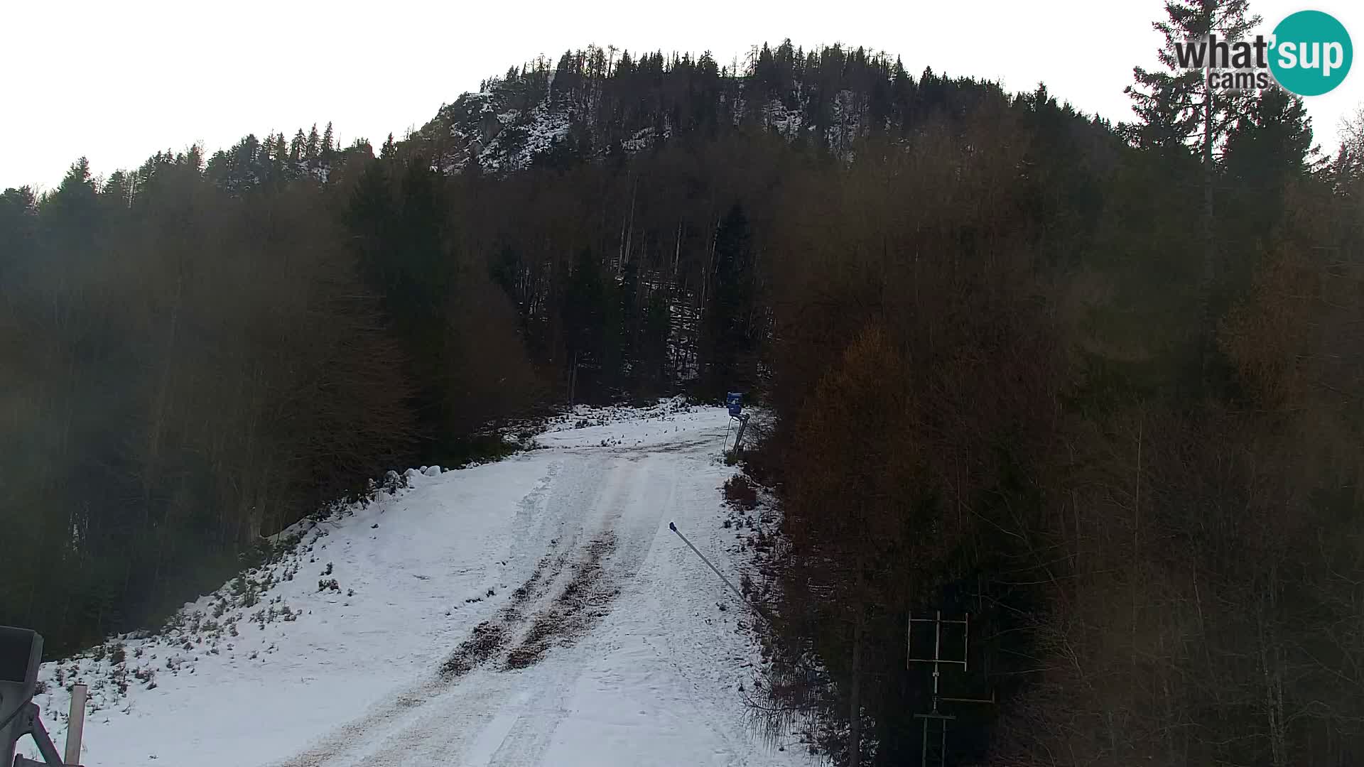 Kranjska Gora livecam VITRANC 1 | estación superior