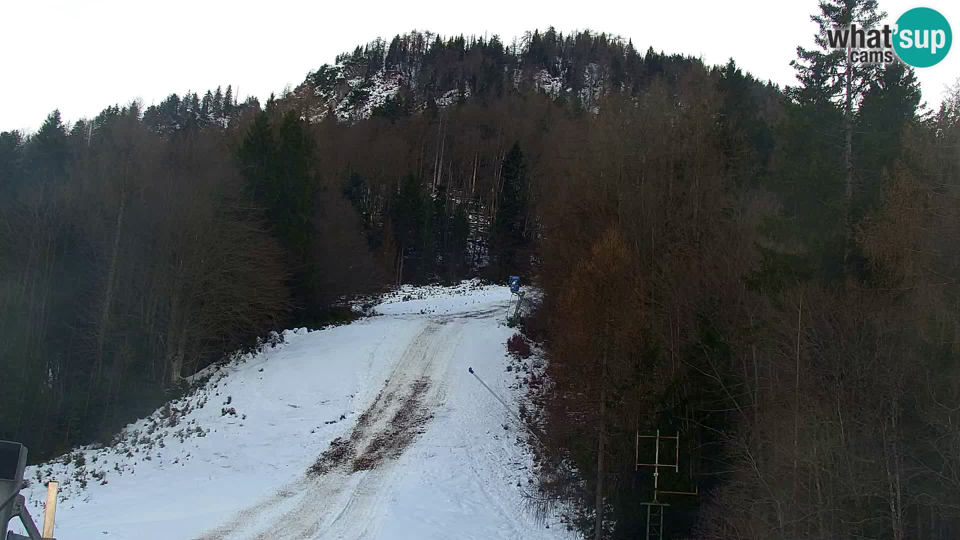 Kranjska Gora web kamera Vitranc | VITRANC 1 gornja postaja