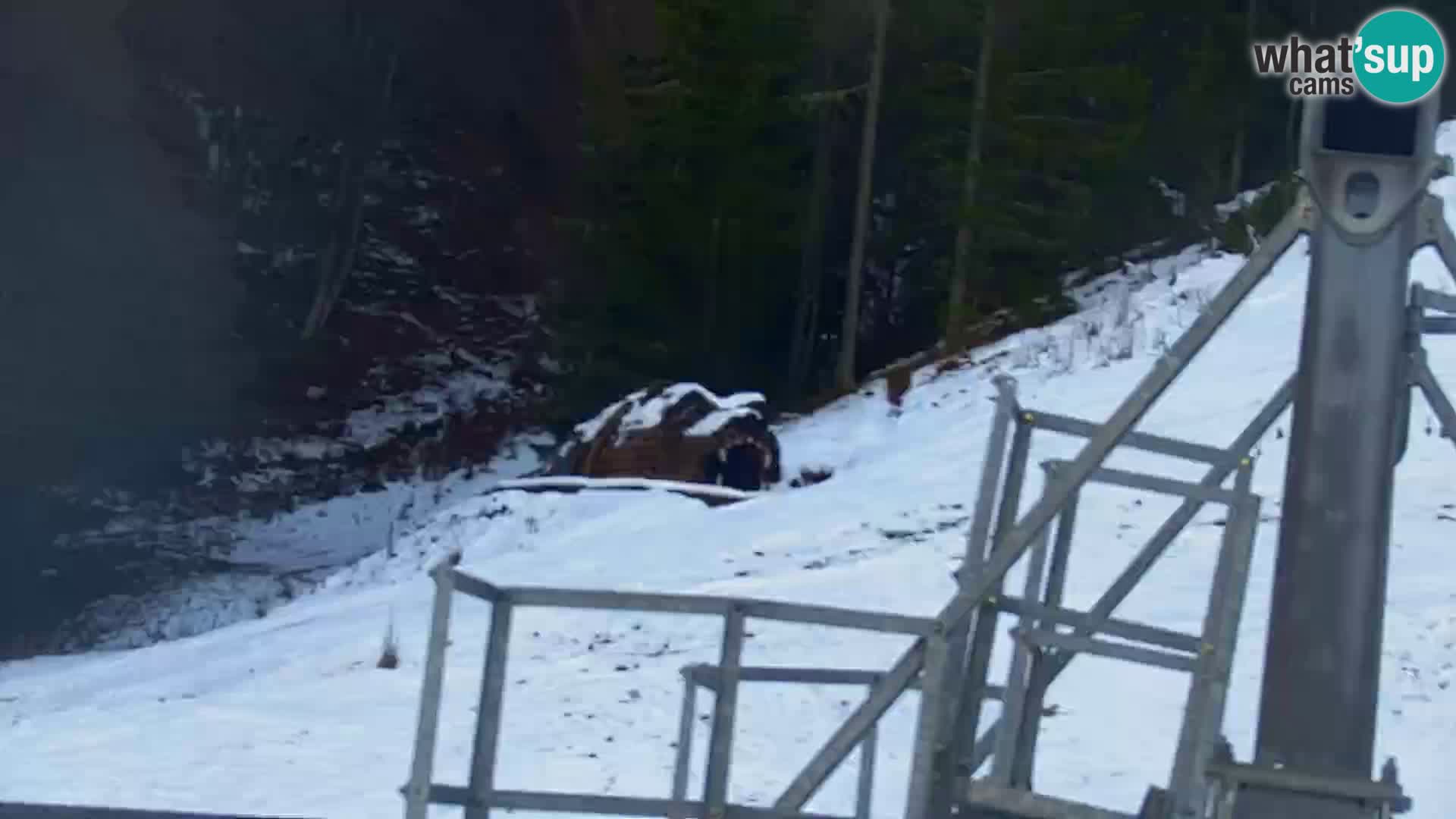 Kranjska Gora kamera VITRANC 1 | Zgornja postaja