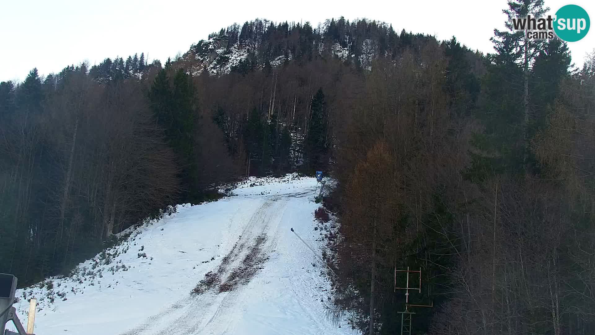 Kranjska Gora web kamera Vitranc | VITRANC 1 gornja postaja