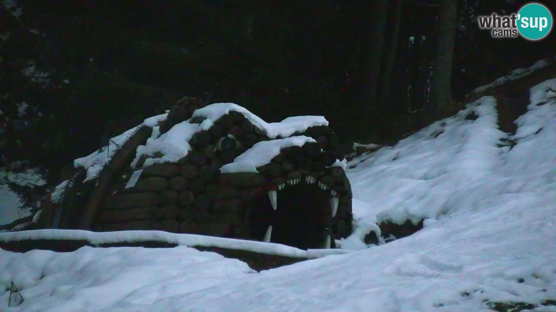 Estación de esquí Kranjska Gora | Estación superior VITRANC 1