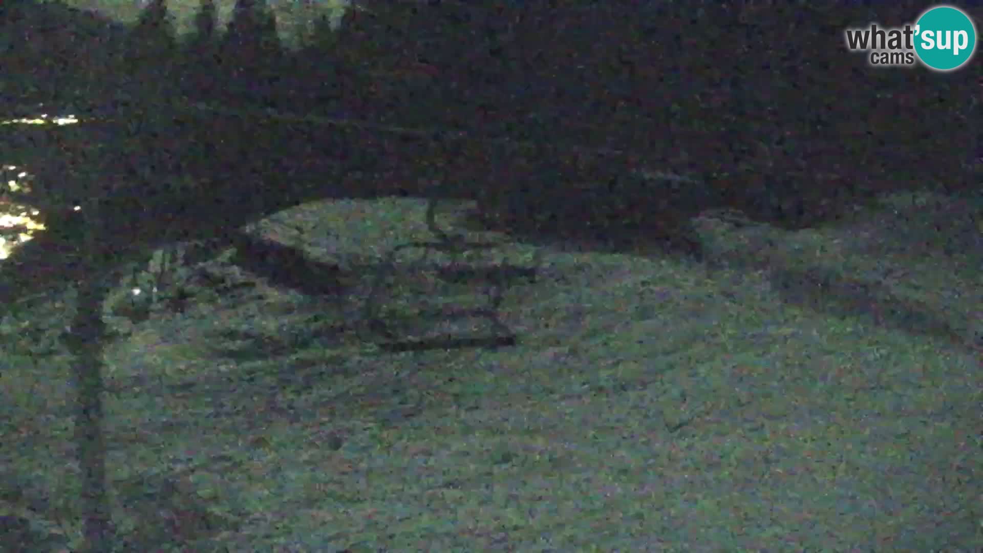 Vitranc Kranjska Gora webcam | VITRANC 1 stazione superiore