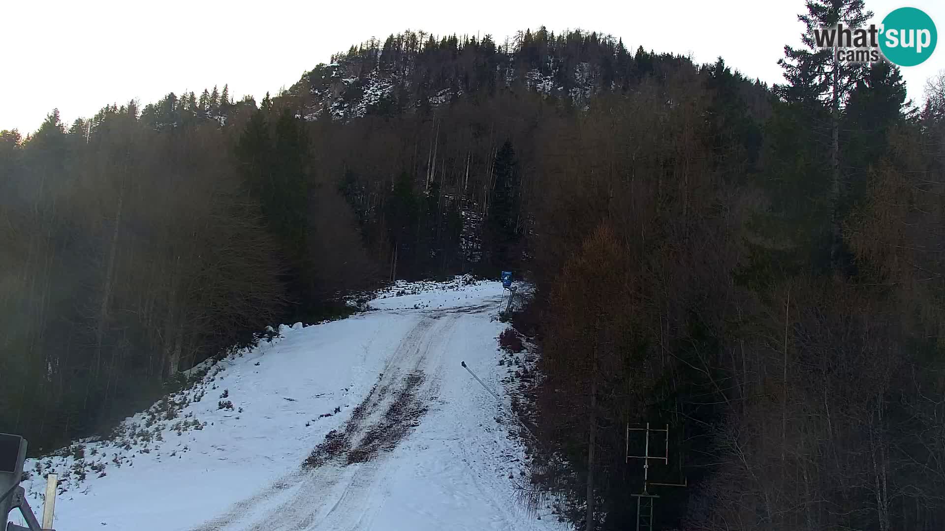 Kranjska Gora livecam VITRANC 1 | estación superior