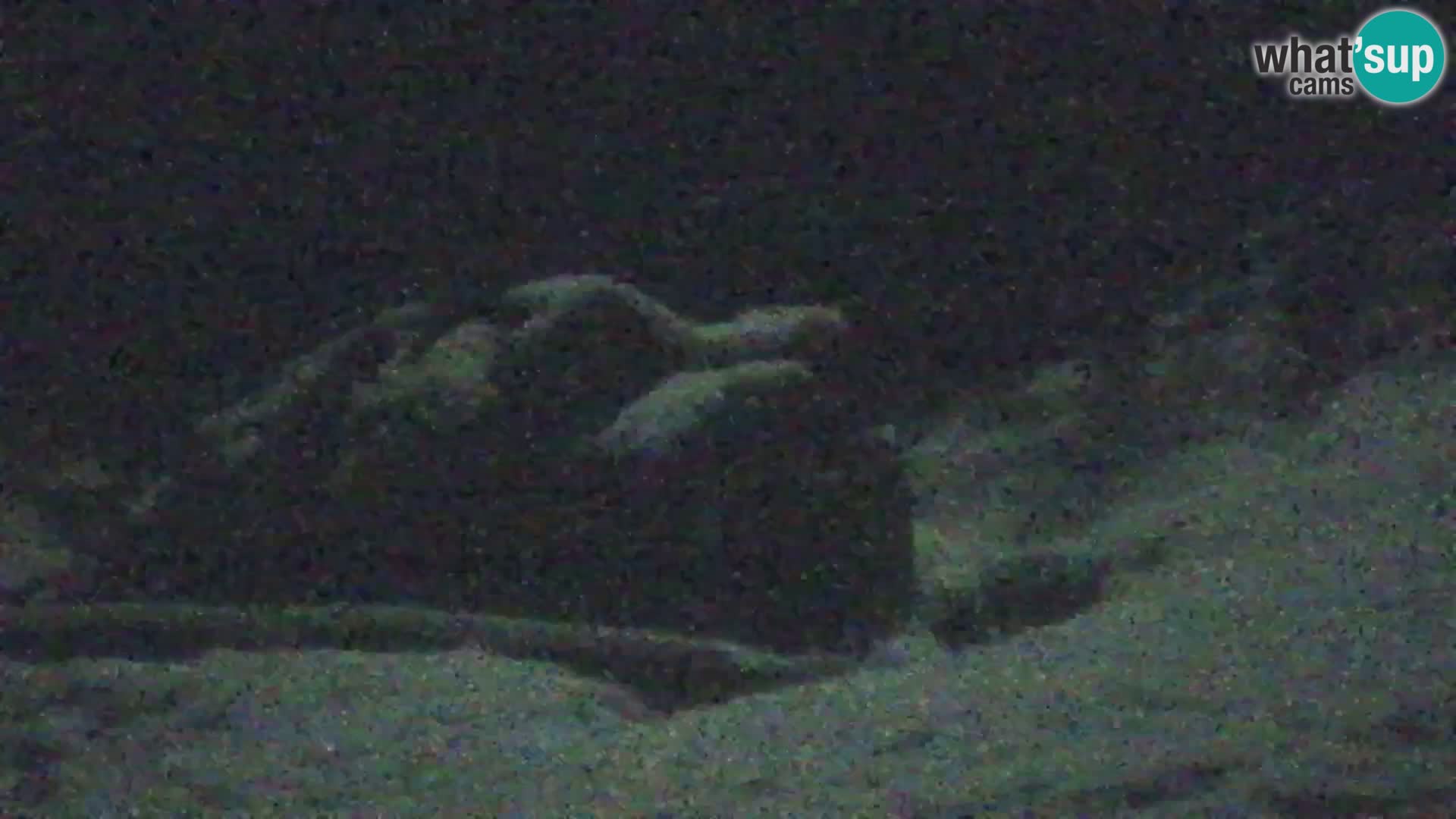 Kranjska Gora webcam VITRANC 1 | obere Station