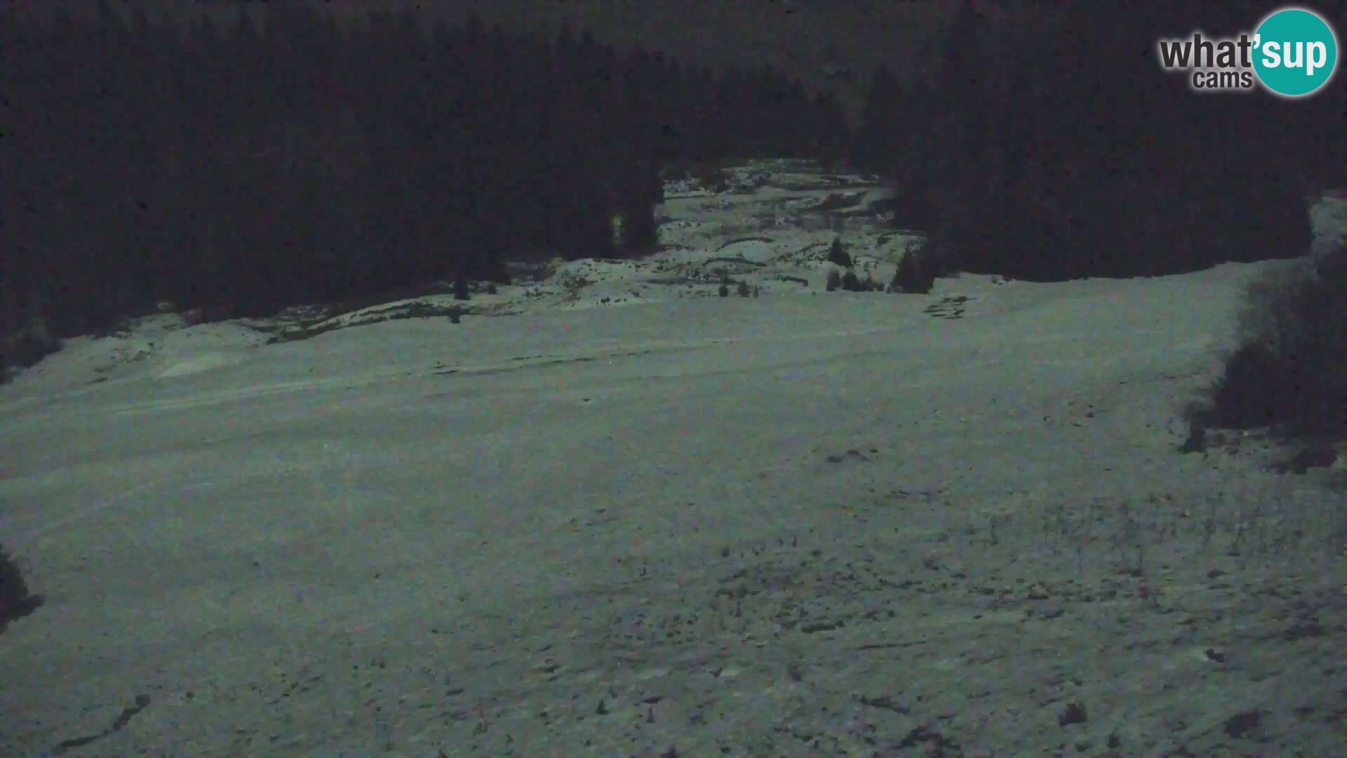 Vitranc Kranjska Gora webcam | VITRANC 1 stazione superiore