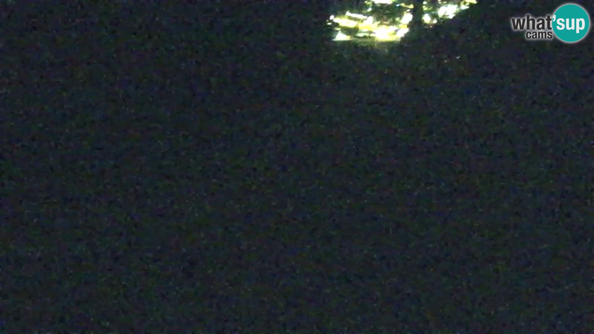 Kranjska Gora livecam VITRANC 1 | estación superior