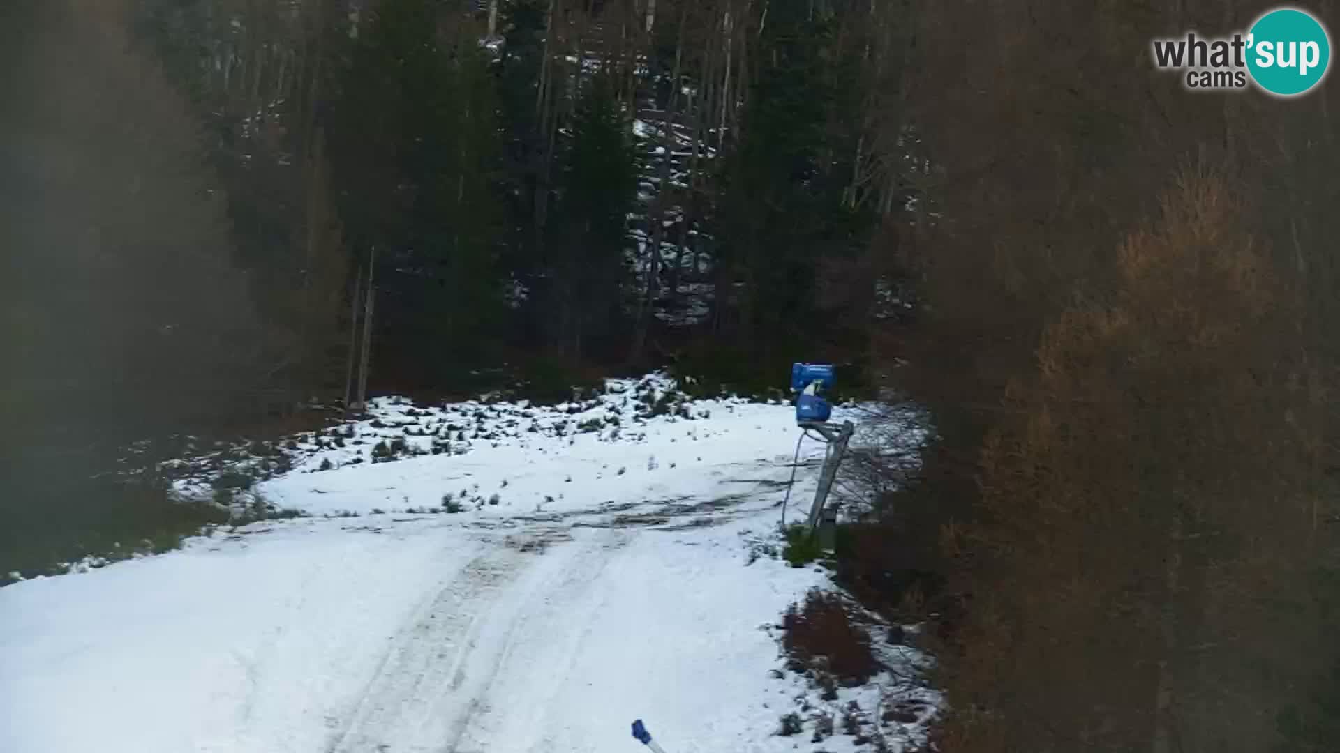 Kranjska Gora livecam VITRANC 1 | estación superior