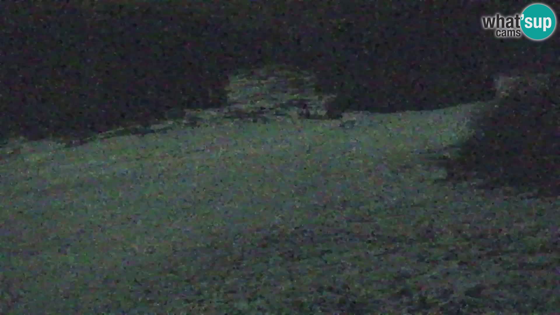 Vitranc Kranjska Gora webcam | VITRANC 1 stazione superiore