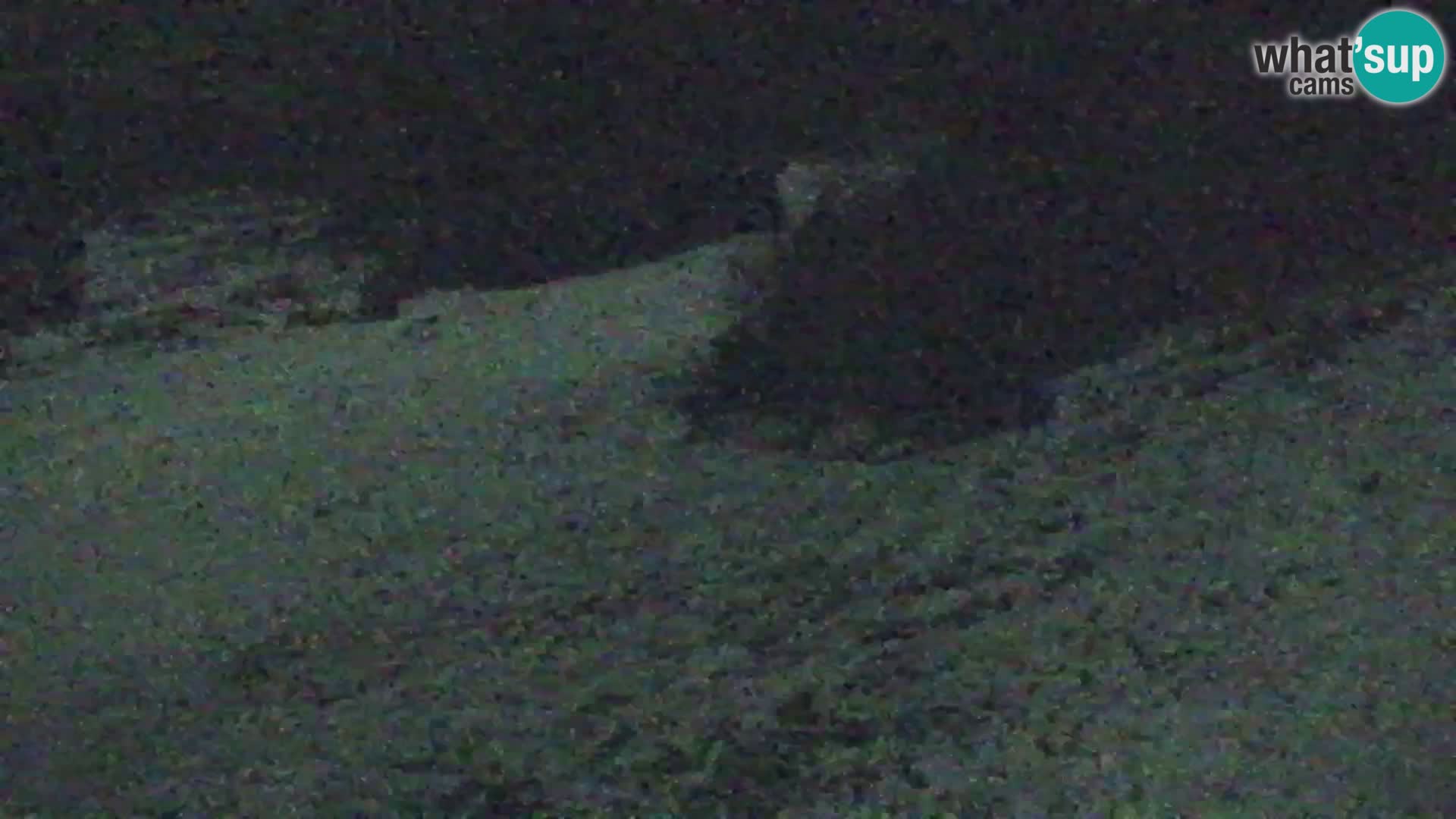 Kranjska Gora kamera VITRANC 1 | Zgornja postaja