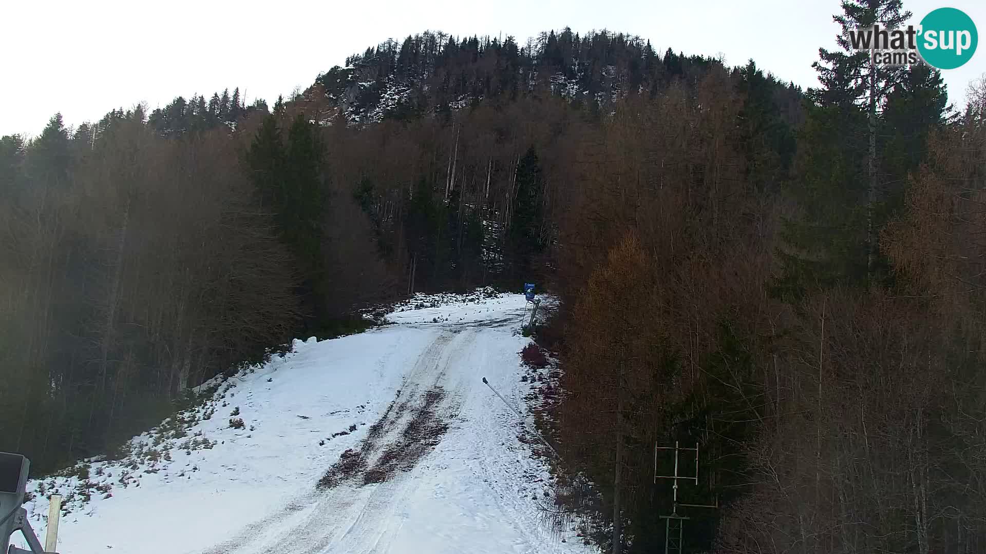 Vitranc Kranjska Gora webcam | VITRANC 1 stazione superiore