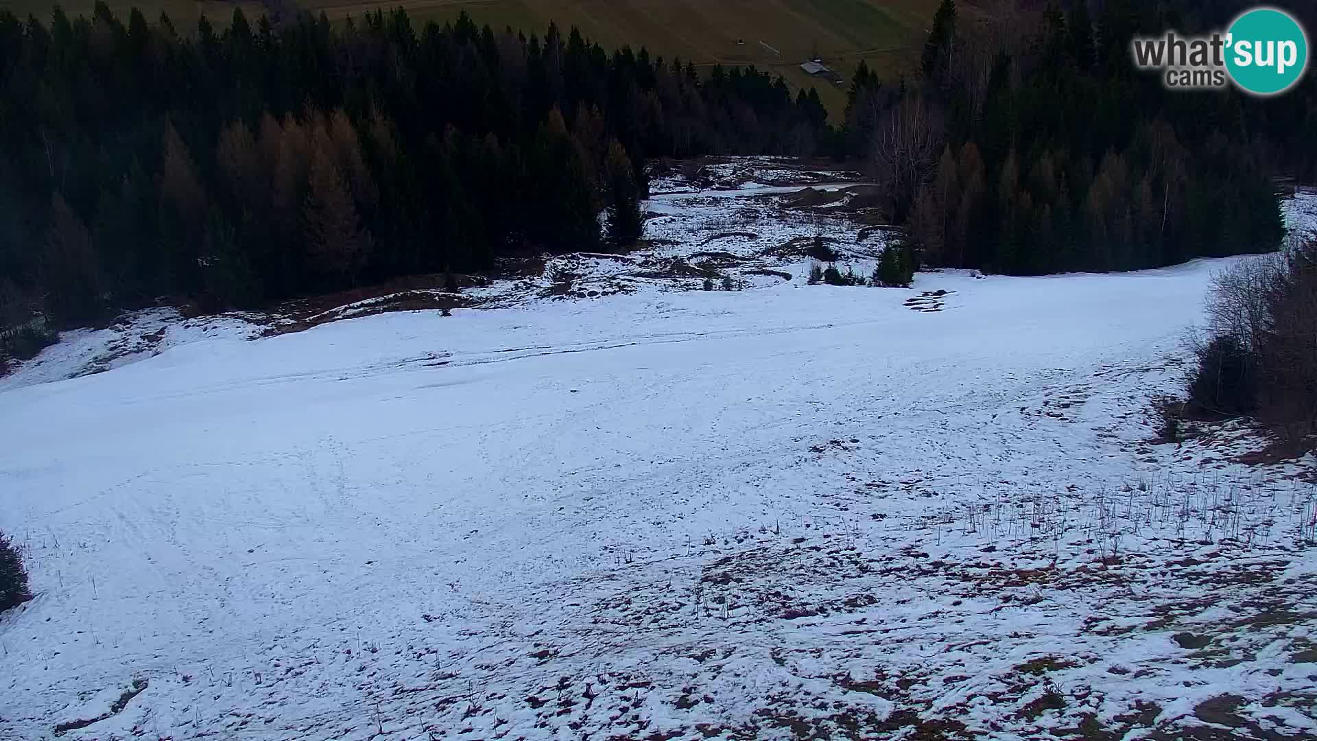 Vitranc Kranjska Gora webcam | VITRANC 1 stazione superiore