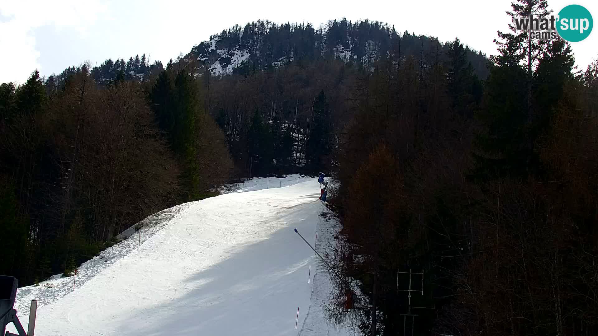 Kranjska Gora web kamera Vitranc | VITRANC 1 gornja postaja