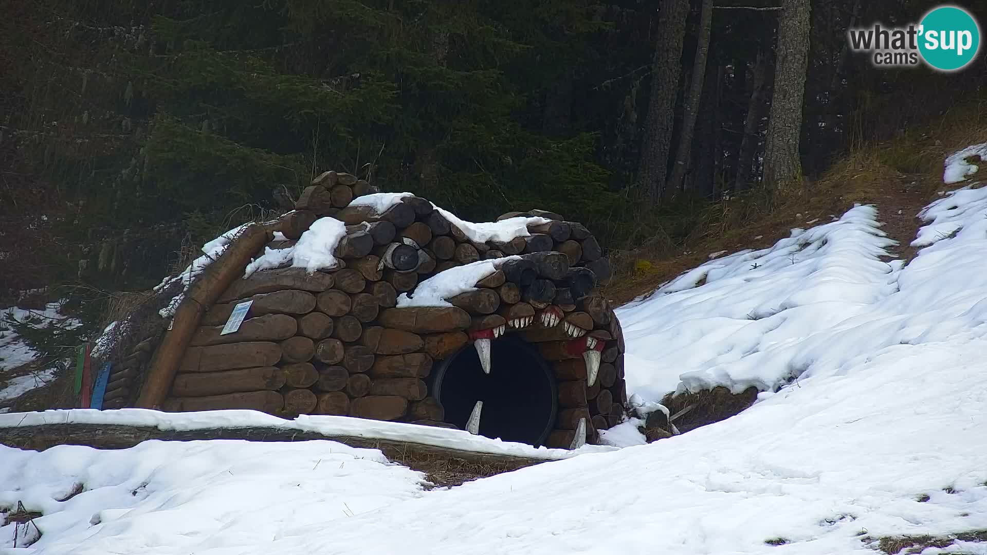 Kranjska Gora web kamera Vitranc | VITRANC 1 gornja postaja