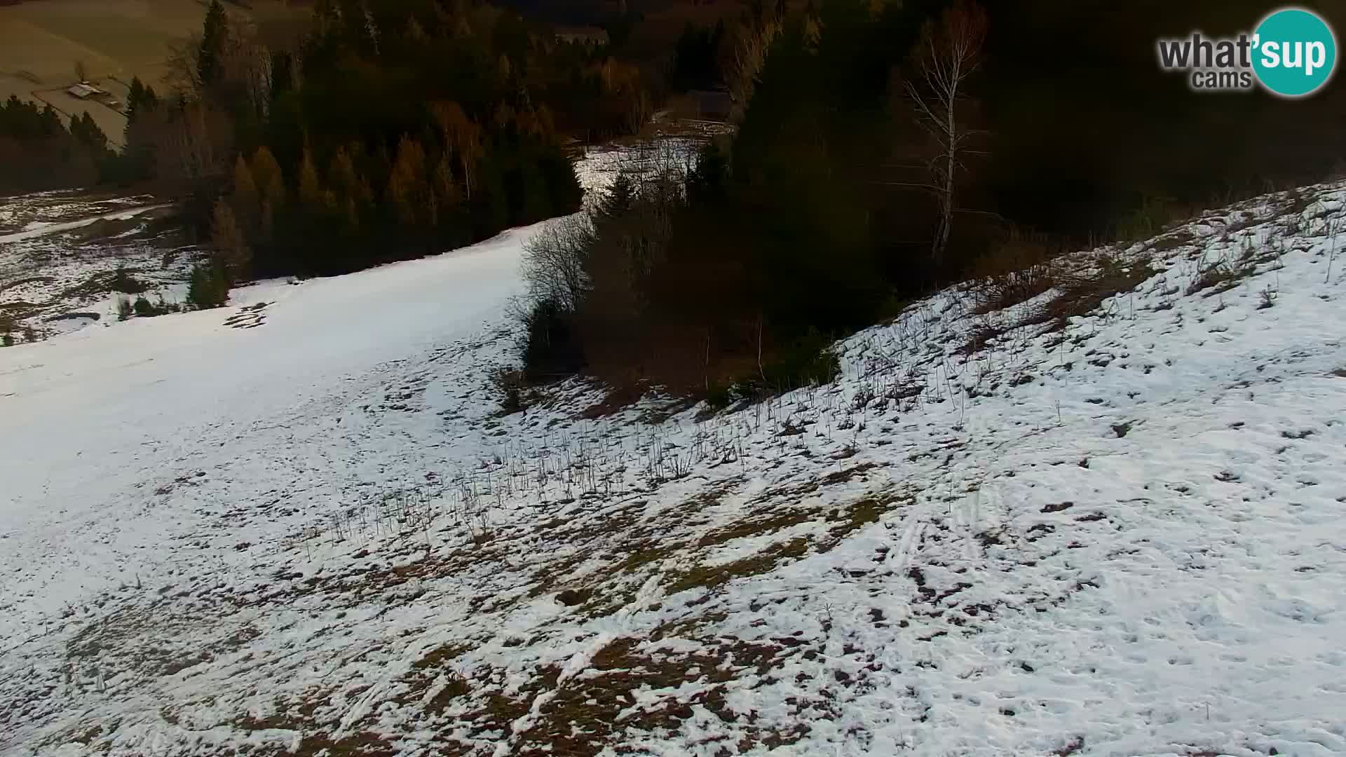 Vitranc Kranjska Gora webcam | VITRANC 1 stazione superiore