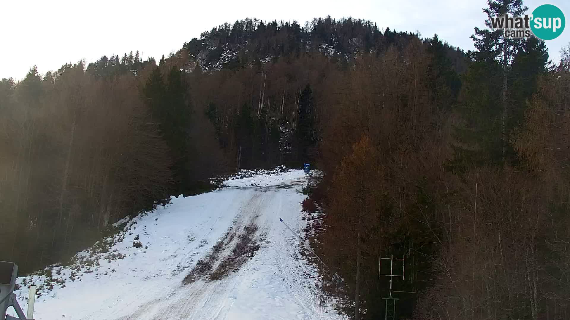 Kranjska Gora web kamera Vitranc | VITRANC 1 gornja postaja