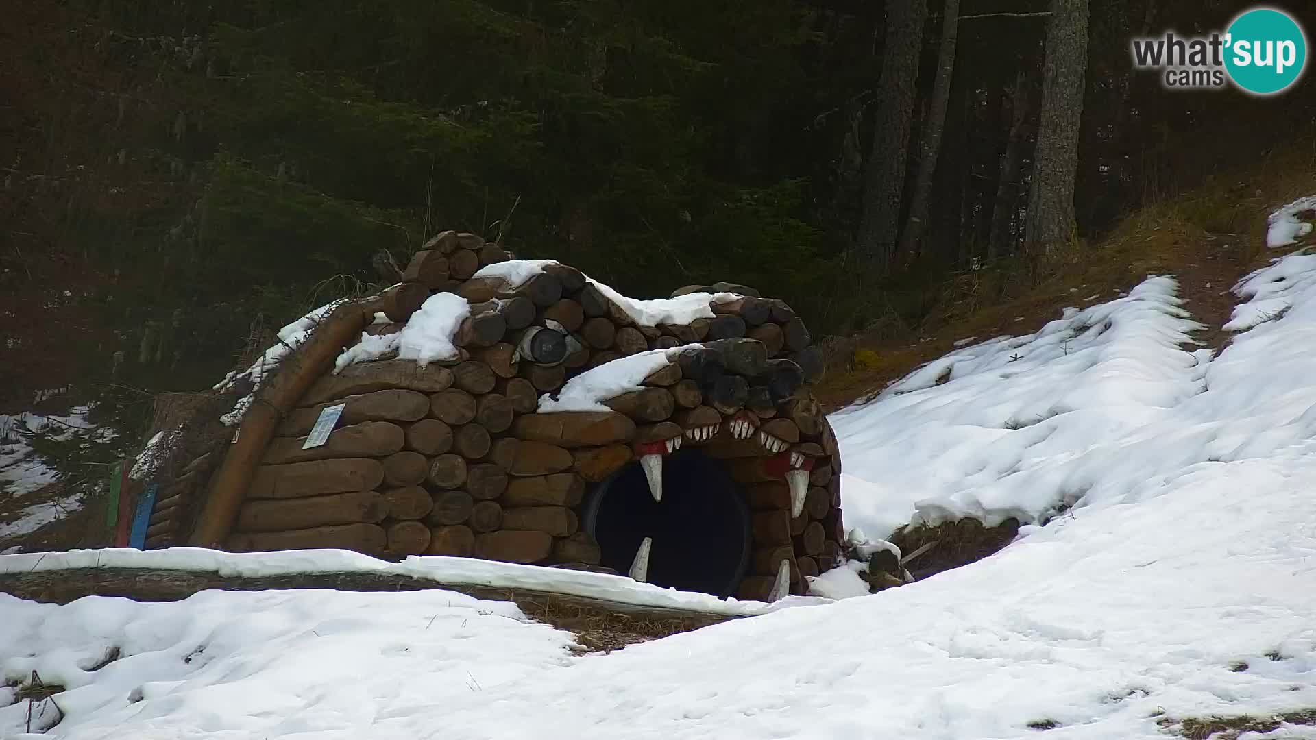 Kranjska Gora webcam VITRANC 1 | obere Station