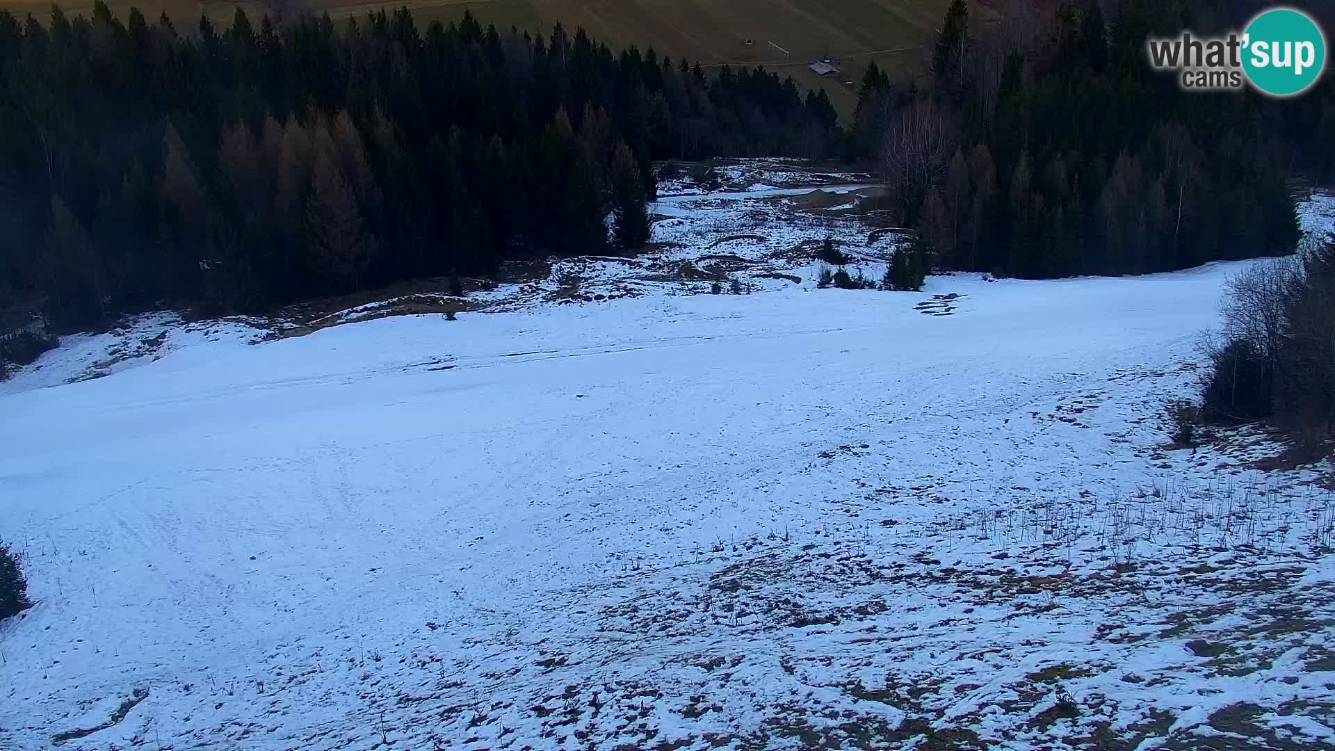 Vitranc Kranjska Gora webcam | VITRANC 1 stazione superiore