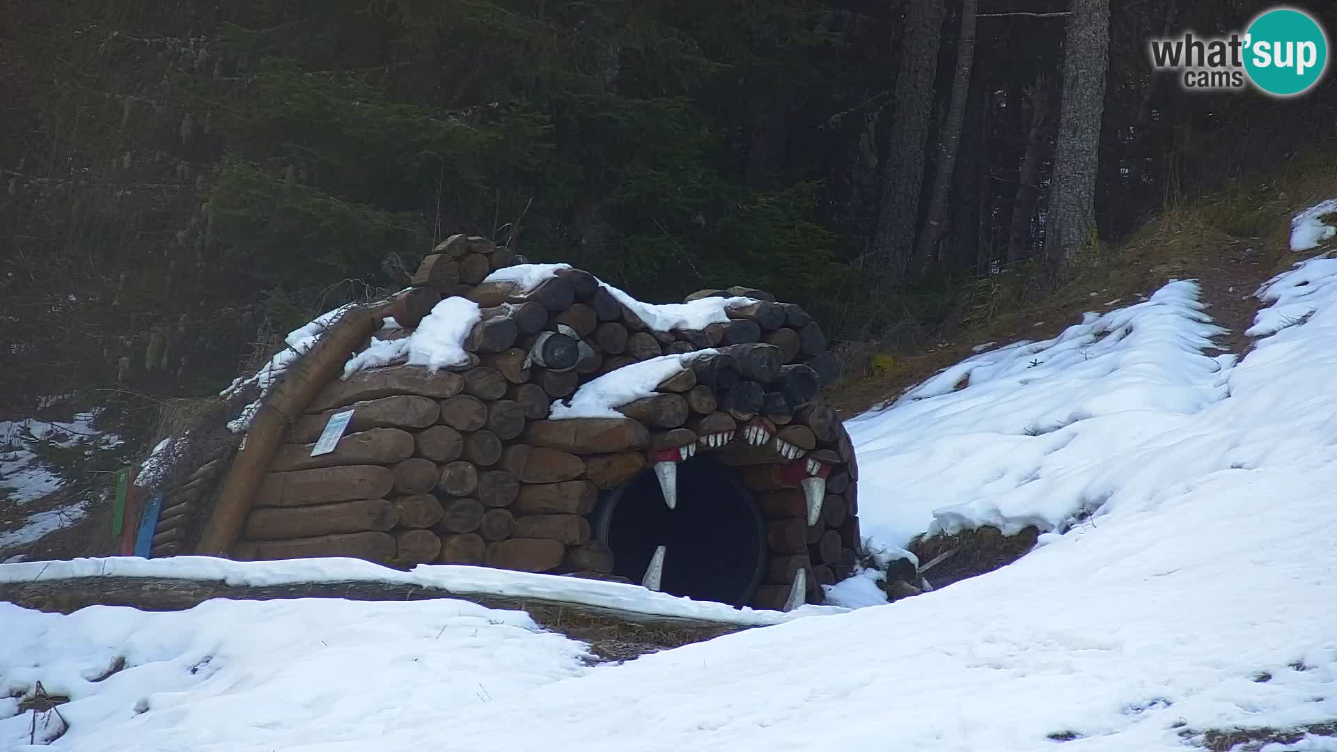 Kranjska Gora livecam VITRANC 1 | estación superior