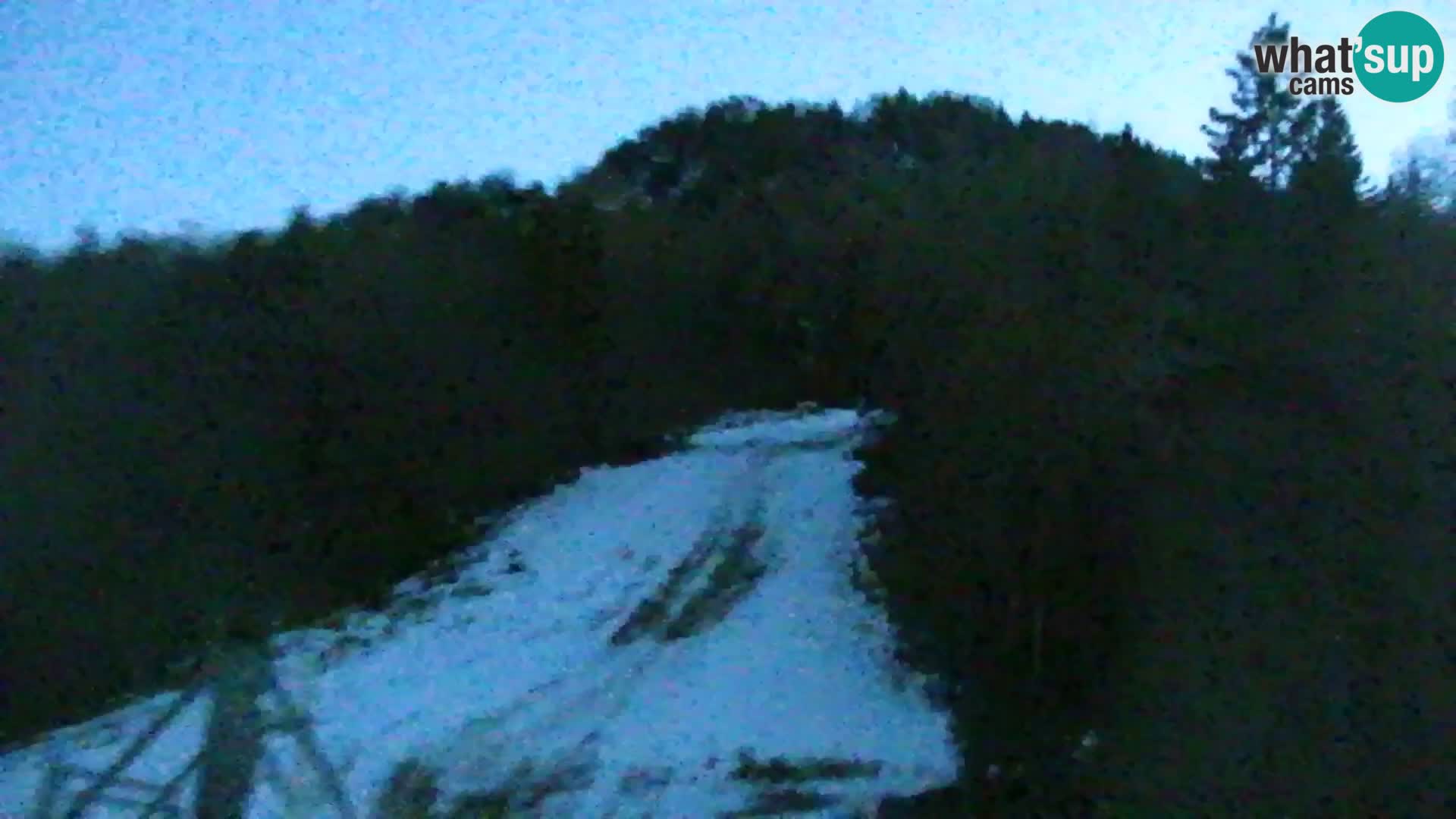 Vitranc Kranjska Gora webcam | VITRANC 1 stazione superiore