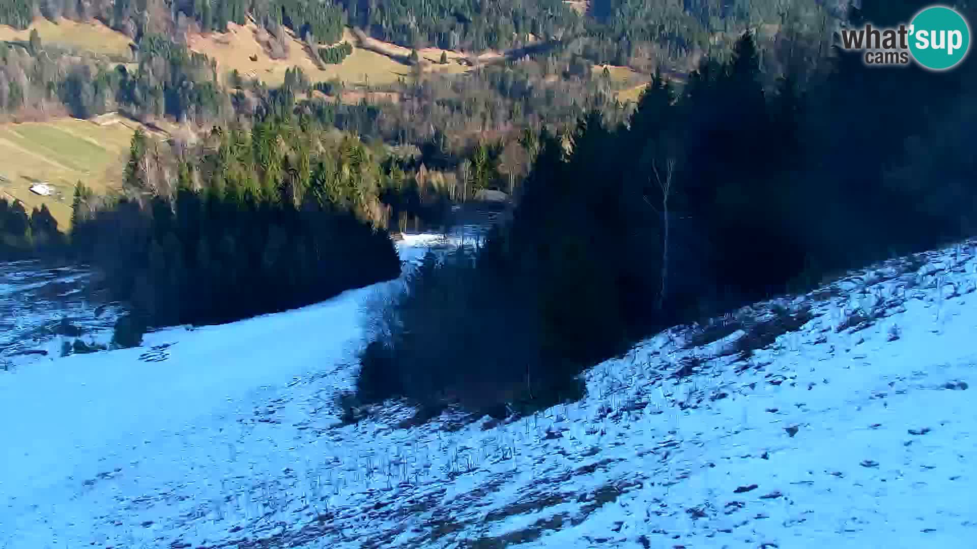 Estación de esquí Kranjska Gora | Estación superior VITRANC 1