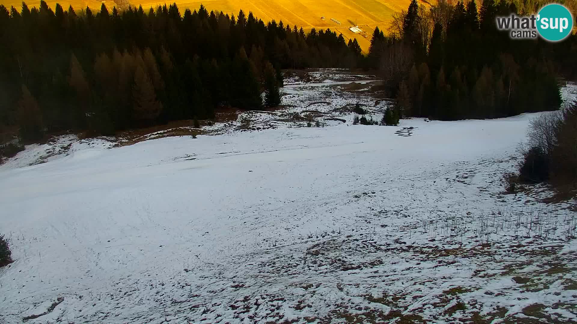 Vitranc Kranjska Gora webcam | VITRANC 1 stazione superiore