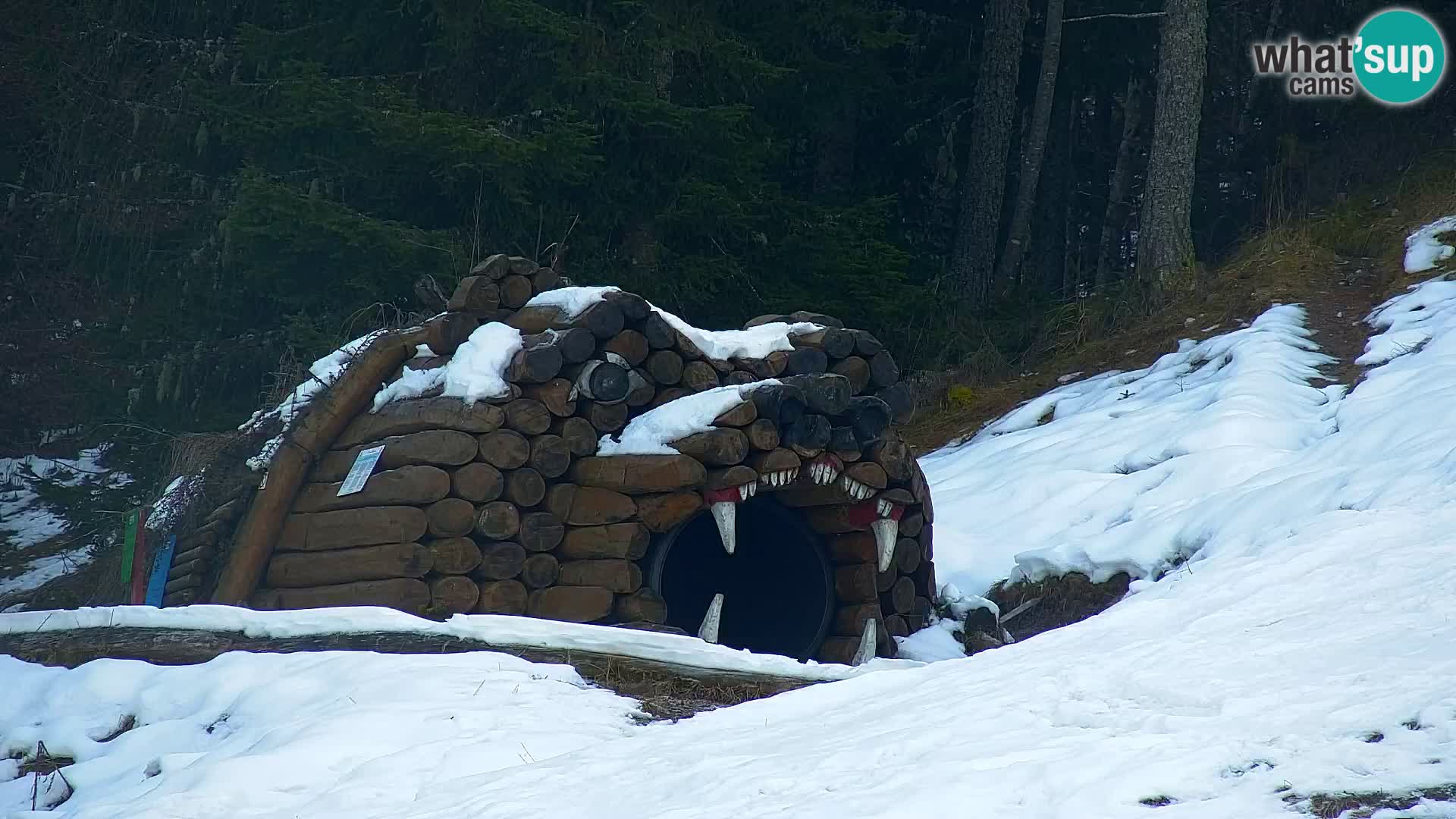 Vitranc Kranjska Gora webcam | VITRANC 1 stazione superiore