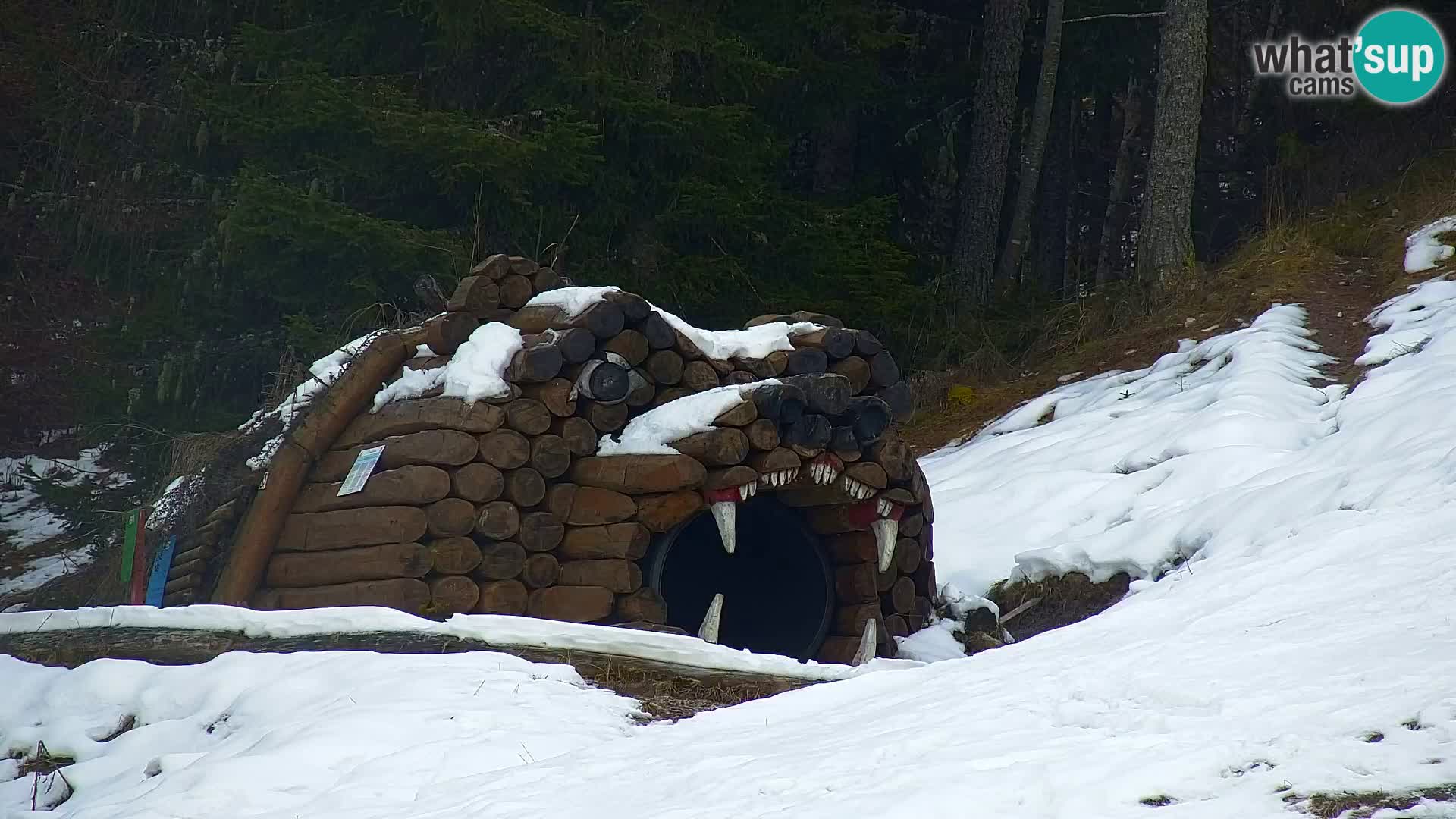 Vitranc Kranjska Gora webcam | VITRANC 1 stazione superiore