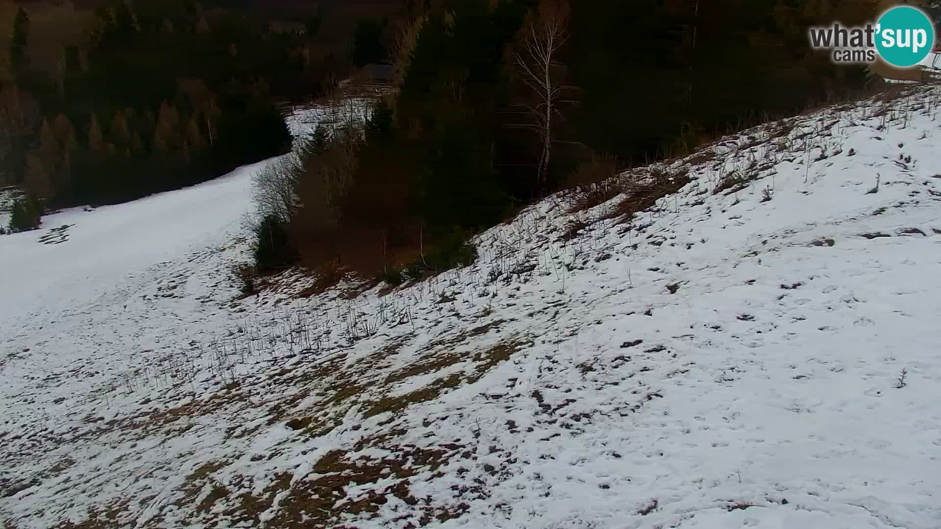 Kranjska Gora webcam VITRANC 1 | obere Station