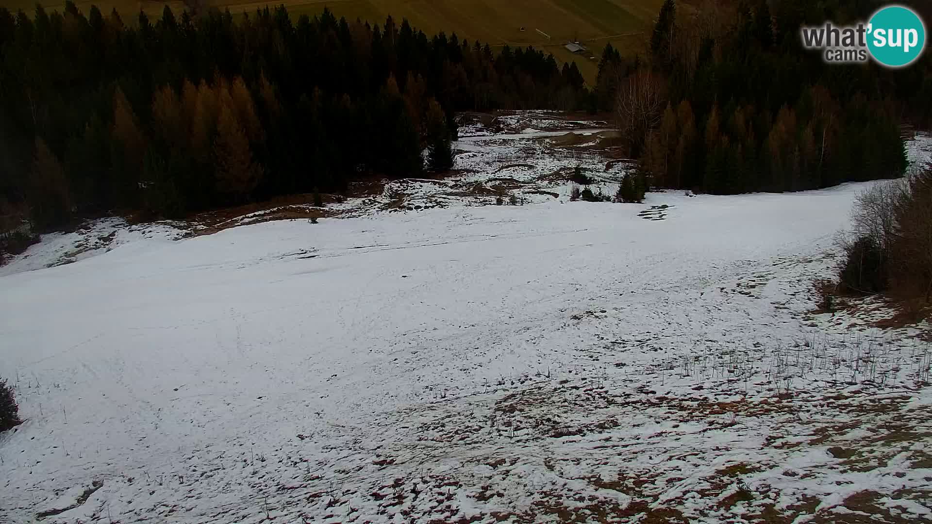 Kranjska Gora web kamera Vitranc | VITRANC 1 gornja postaja